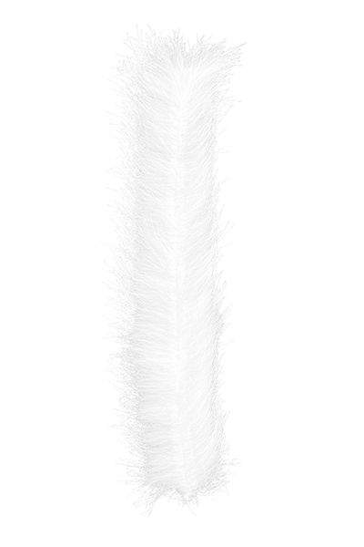 MFC Bunny Brushes