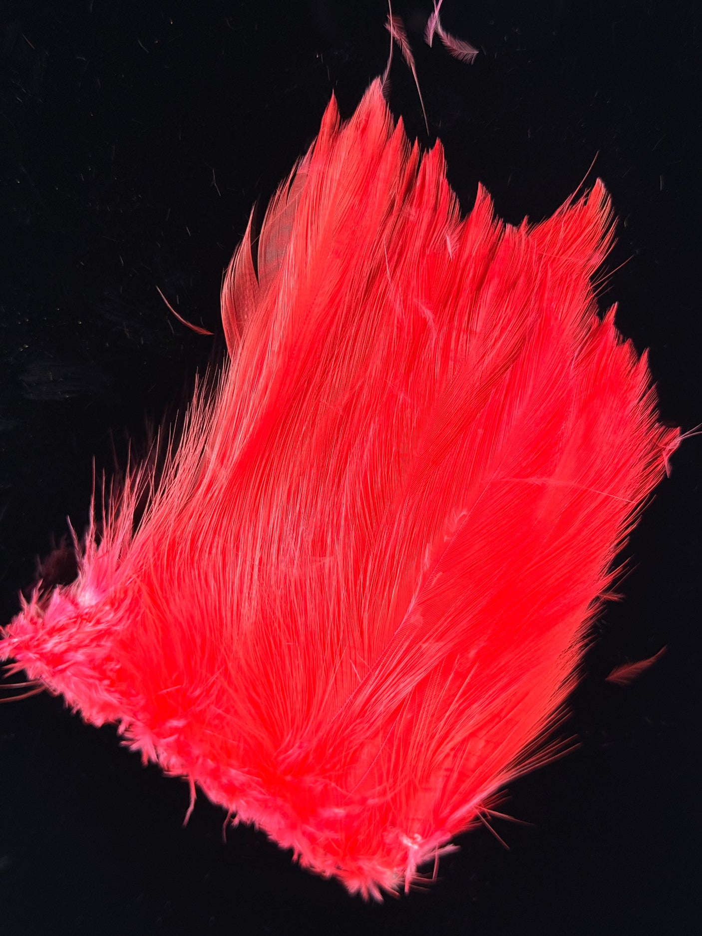 Waters West Saltwater Neck Hackle