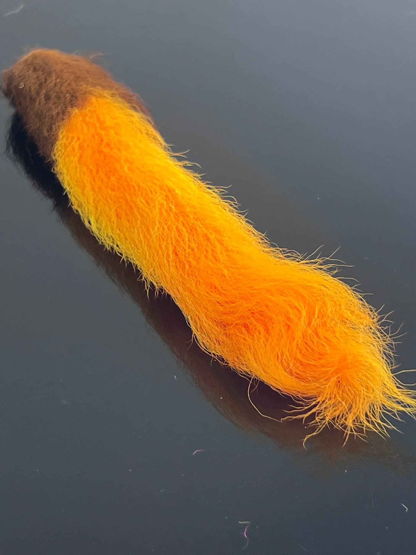 Waters West Calf Tail