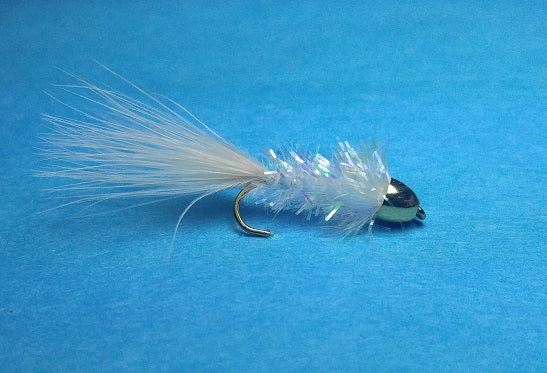 Delia's Conehead Squid