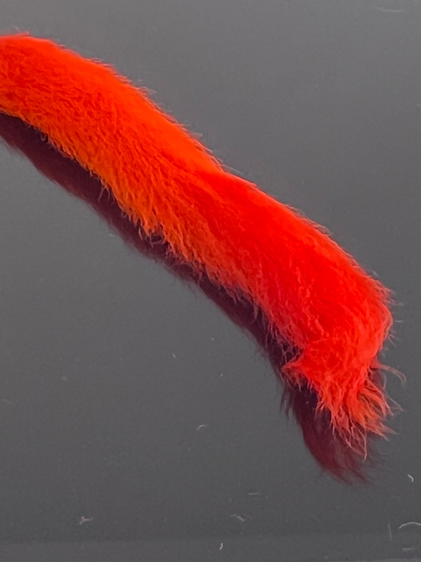 Waters West Calf Tail
