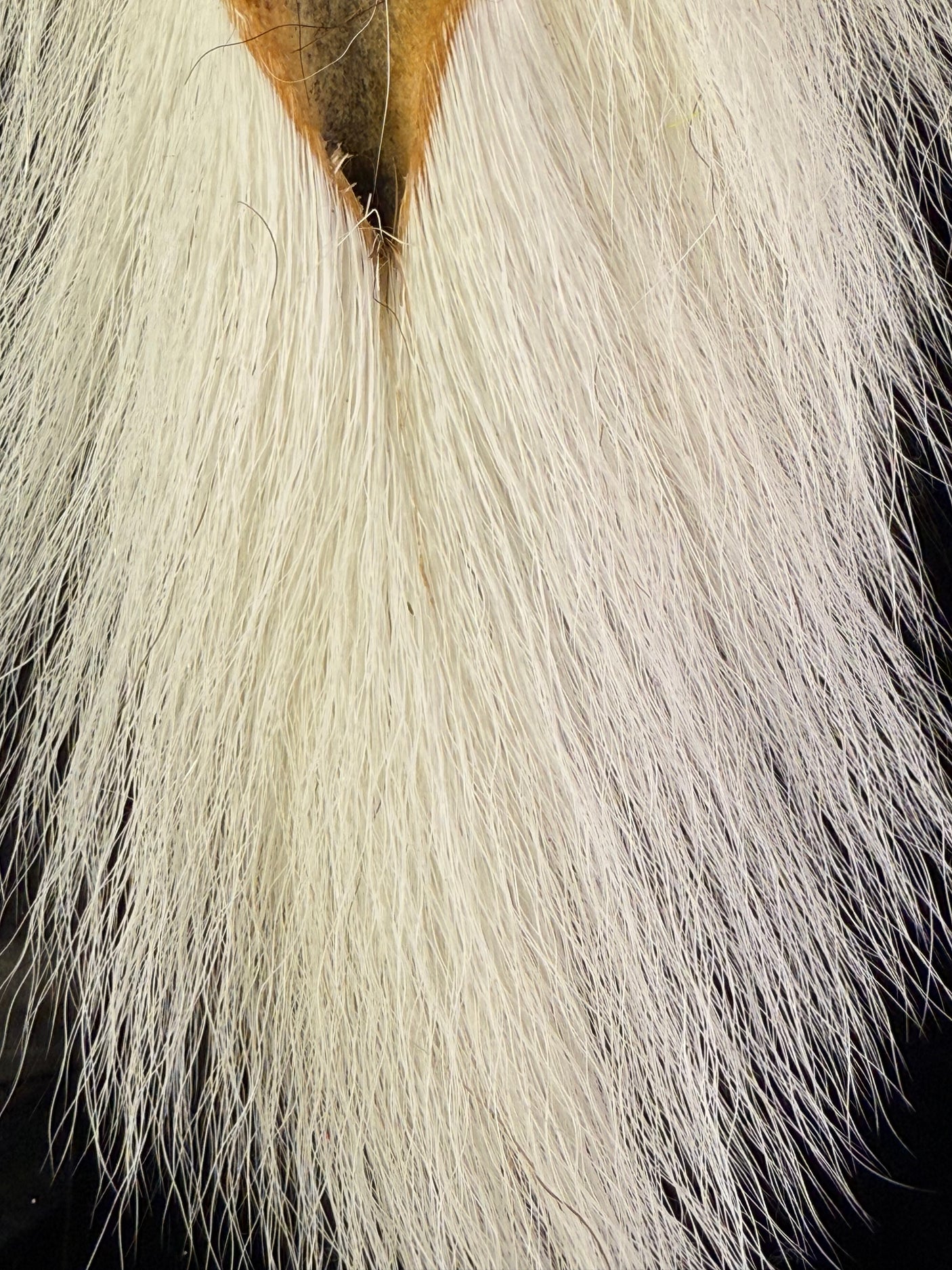 Large Northern Bucktail