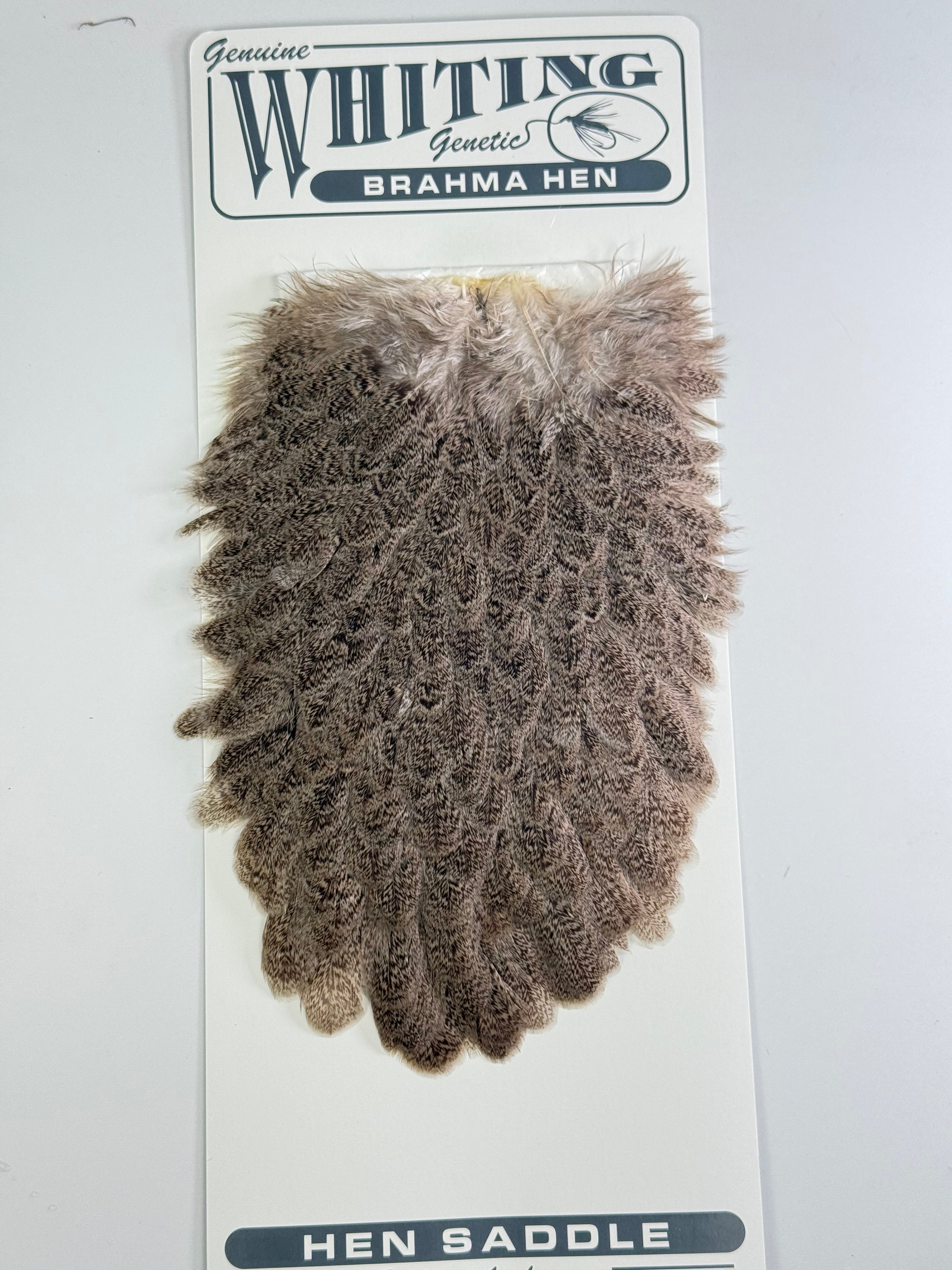 Whiting Brahma Hen Saddle at Waters West Fly Fishing Outfitters.