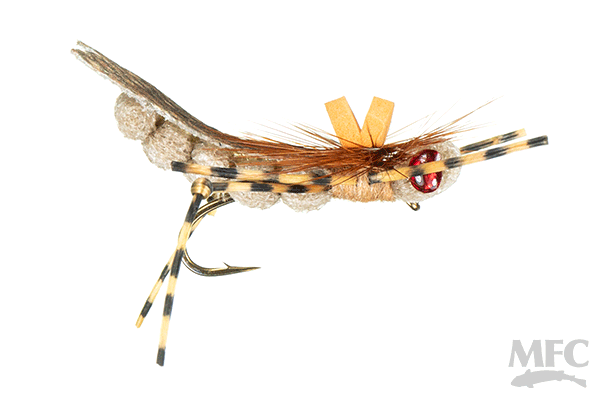 Dunnigan's Young Grasshoppa - Tan