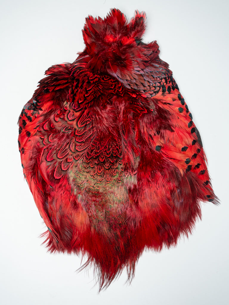 Ringneck Pheasant Skin Flourescent Red