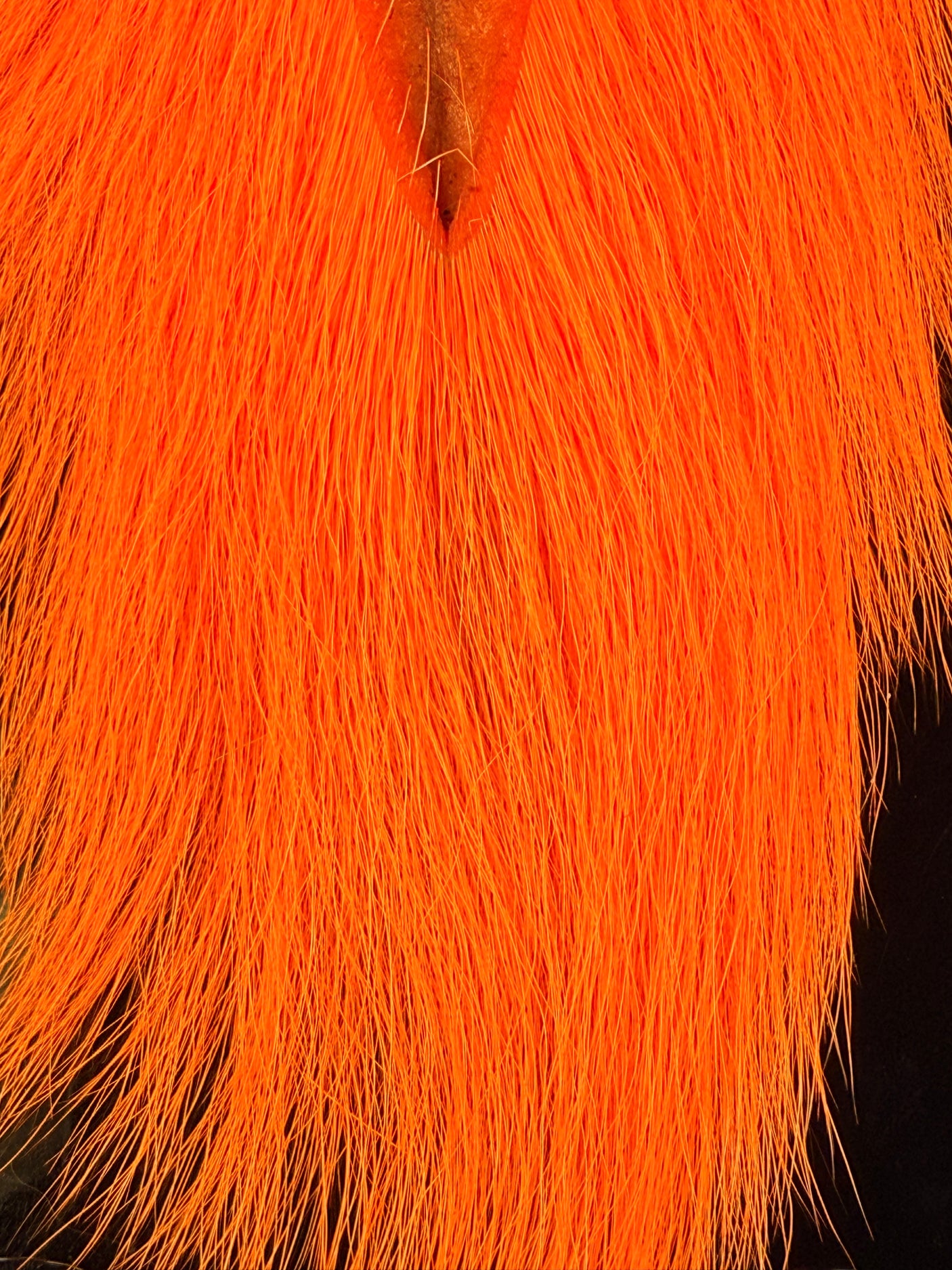 Large Northern Bucktail
