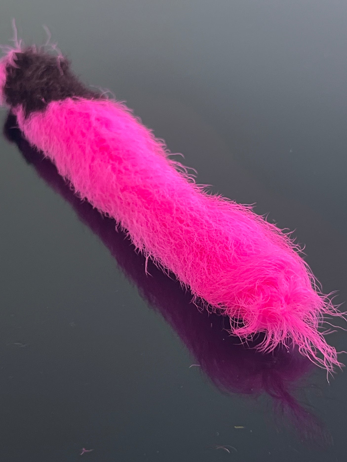 Waters West Calf Tail