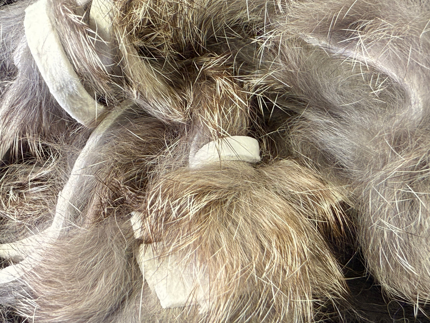 Straightcut Rabbit Strips
