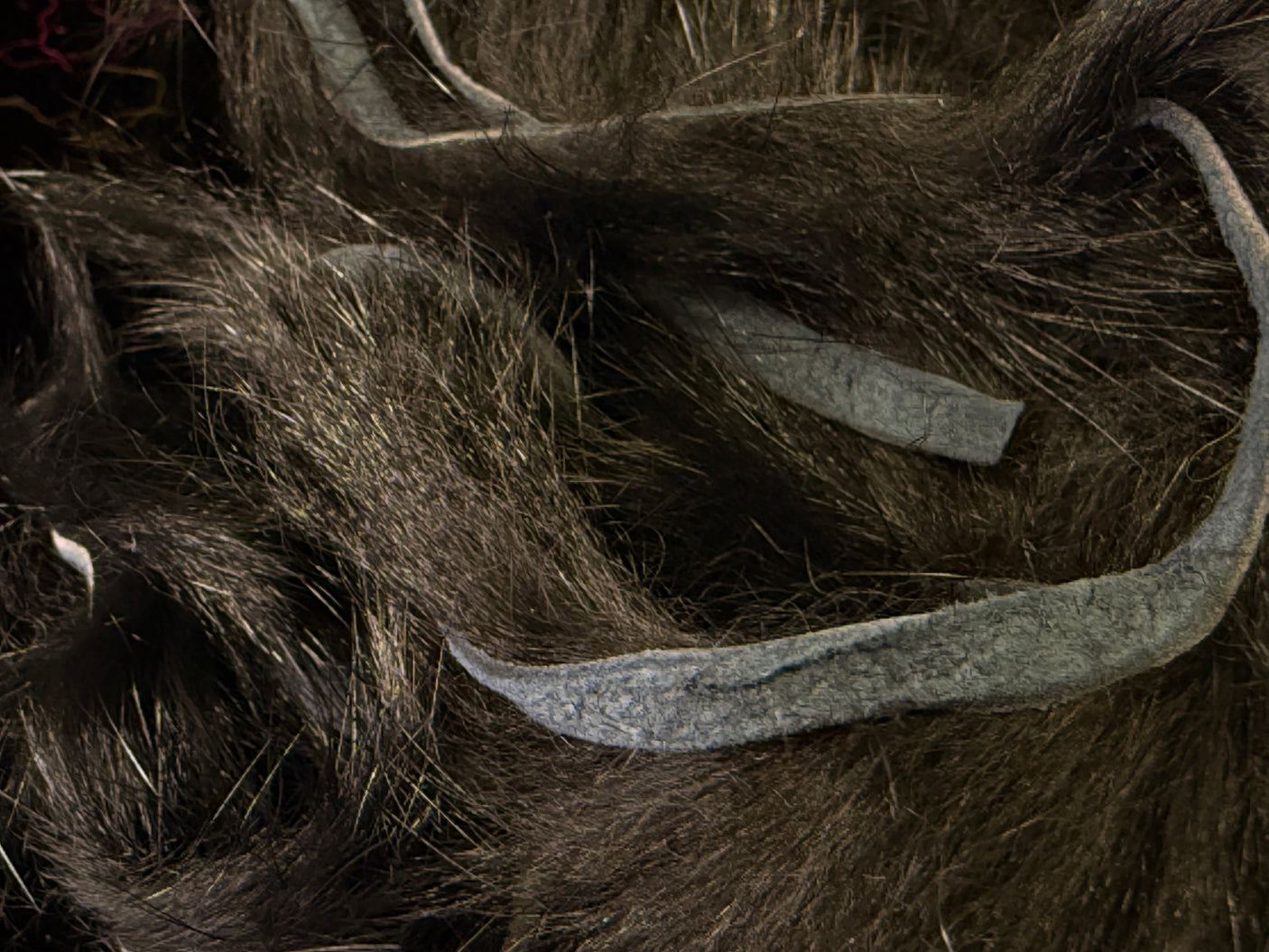 Straightcut Rabbit Strips