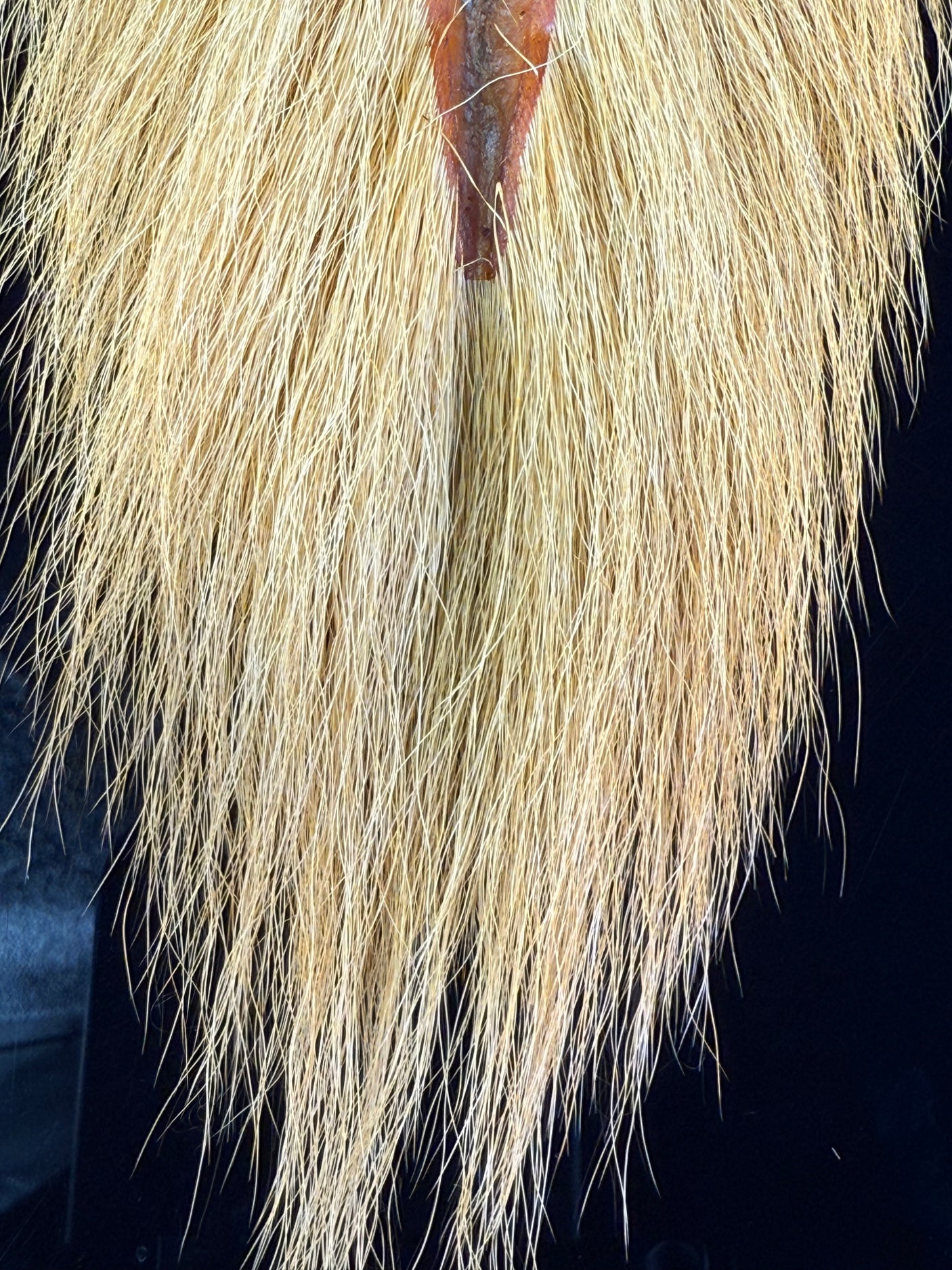 Large Northern Bucktail