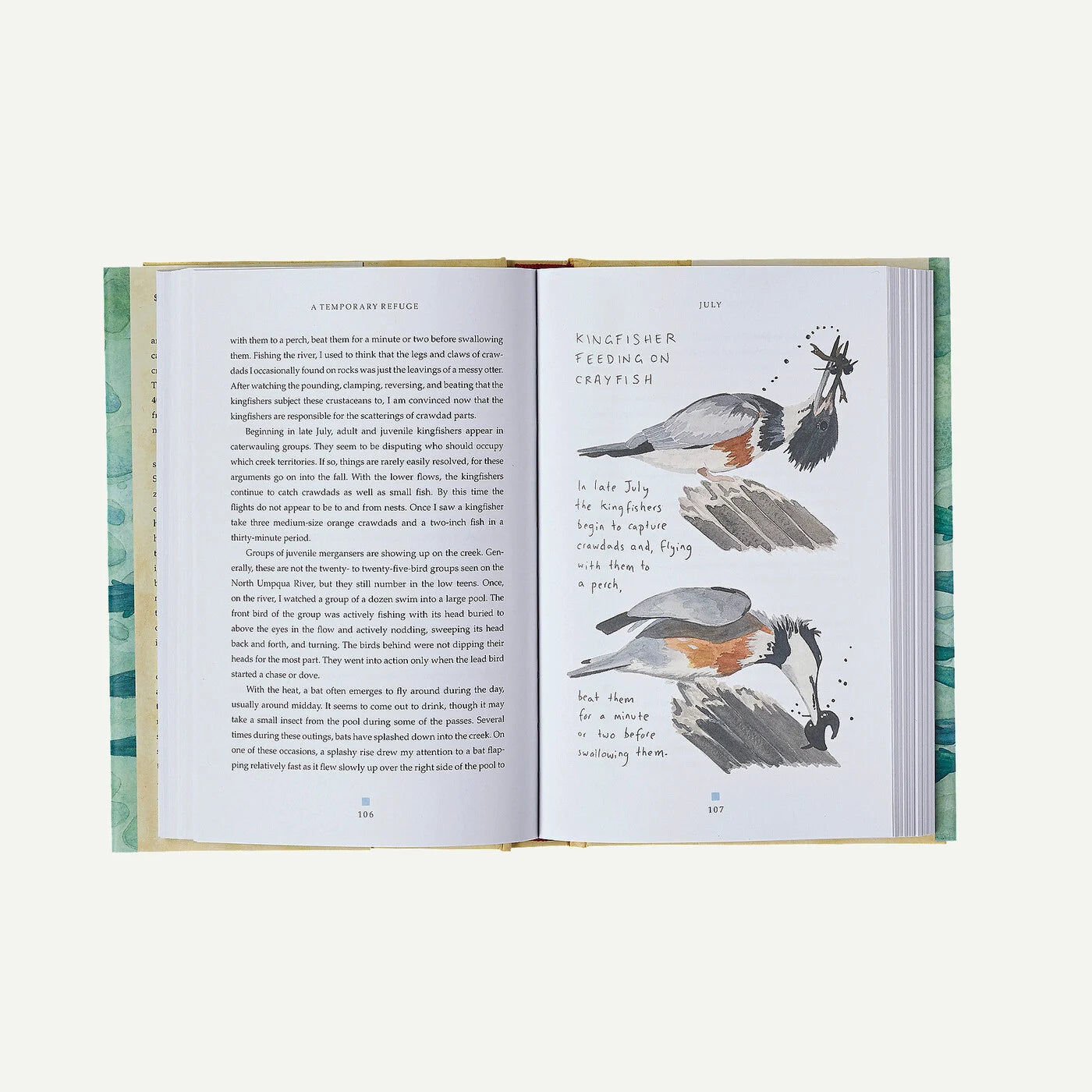 A Temporary Refuge: Fourteen Seasons with Wild Summer Steelhead