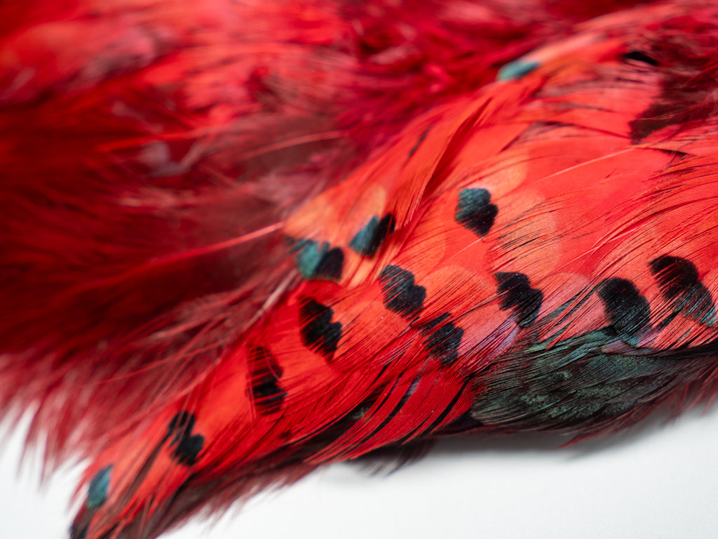 Ringneck Pheasant Skin Flourescent Red