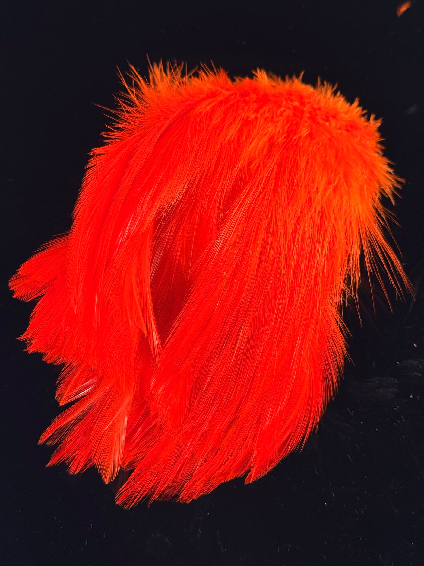 Waters West Saltwater Neck Hackle