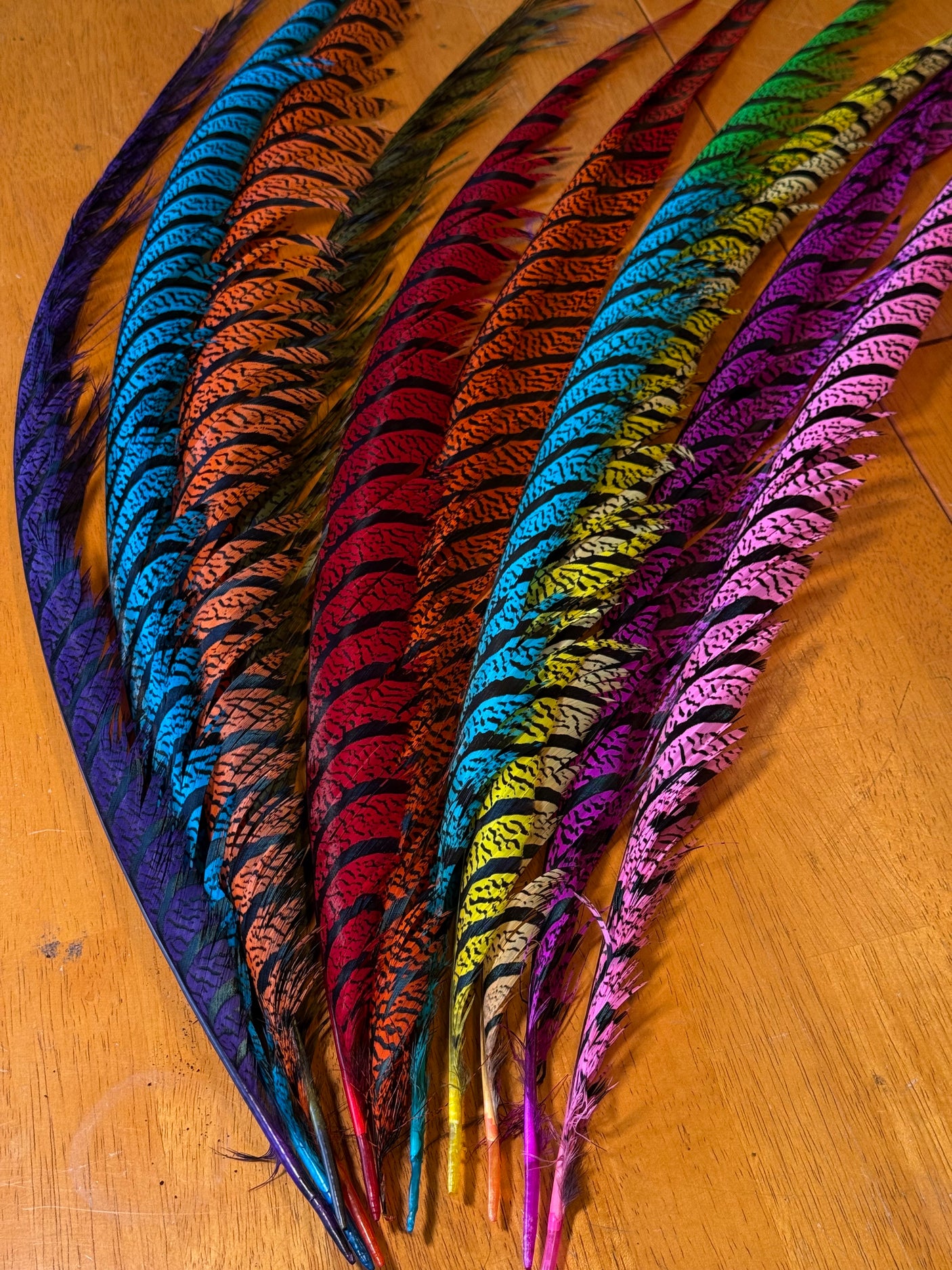 Lady Amherst Pheasant Center Tails
