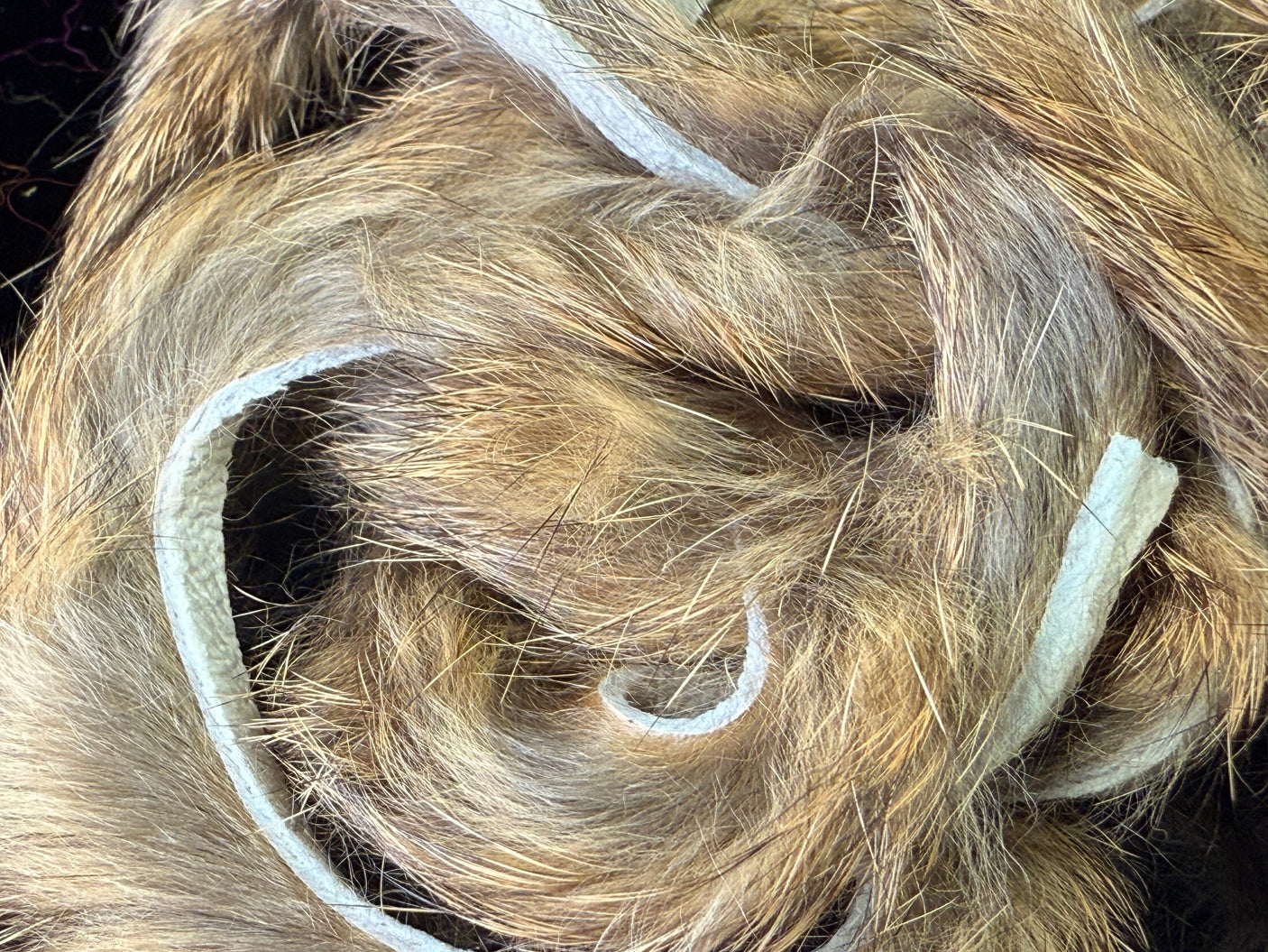 Straightcut Rabbit Strips
