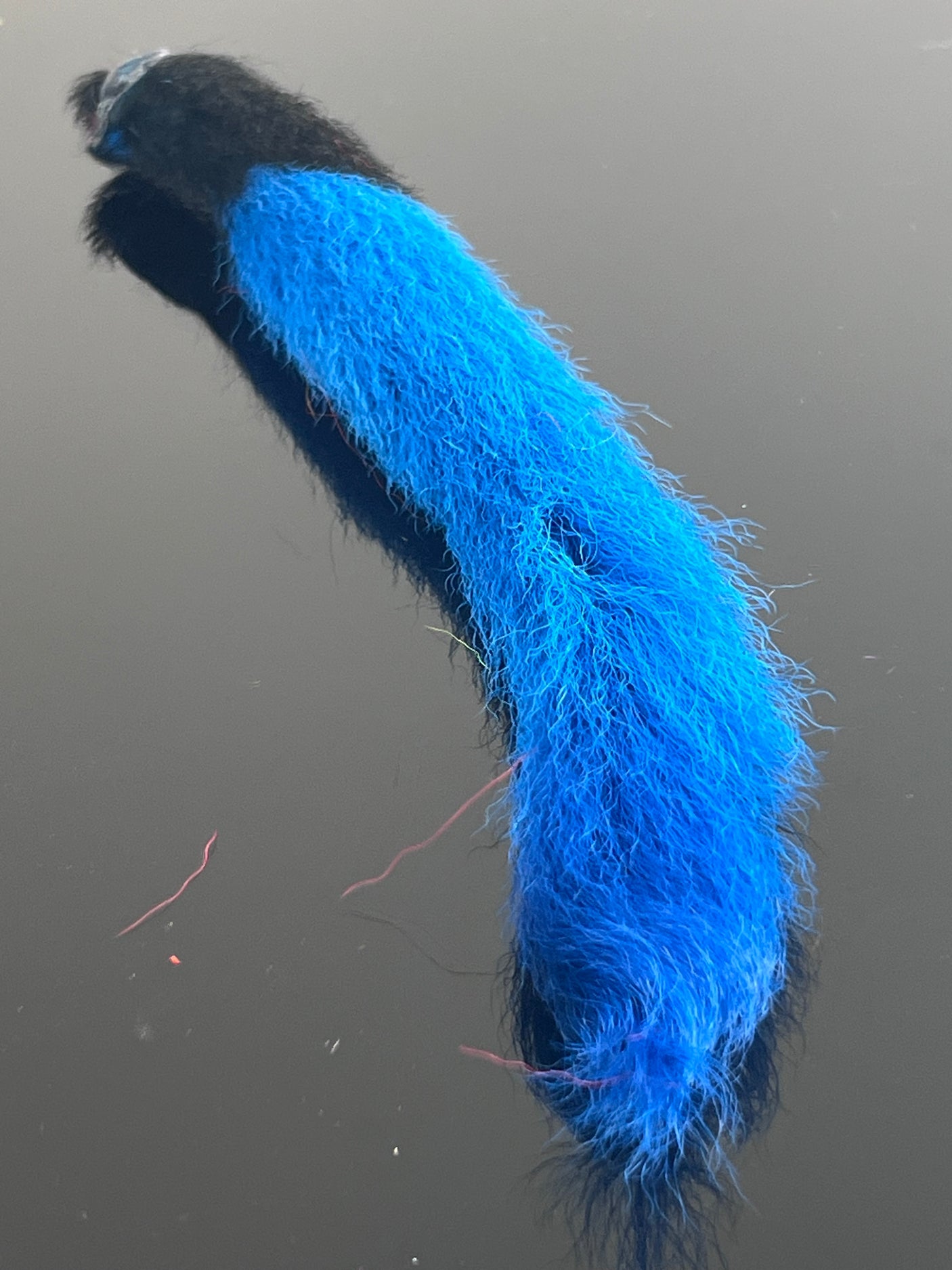 Waters West Calf Tail