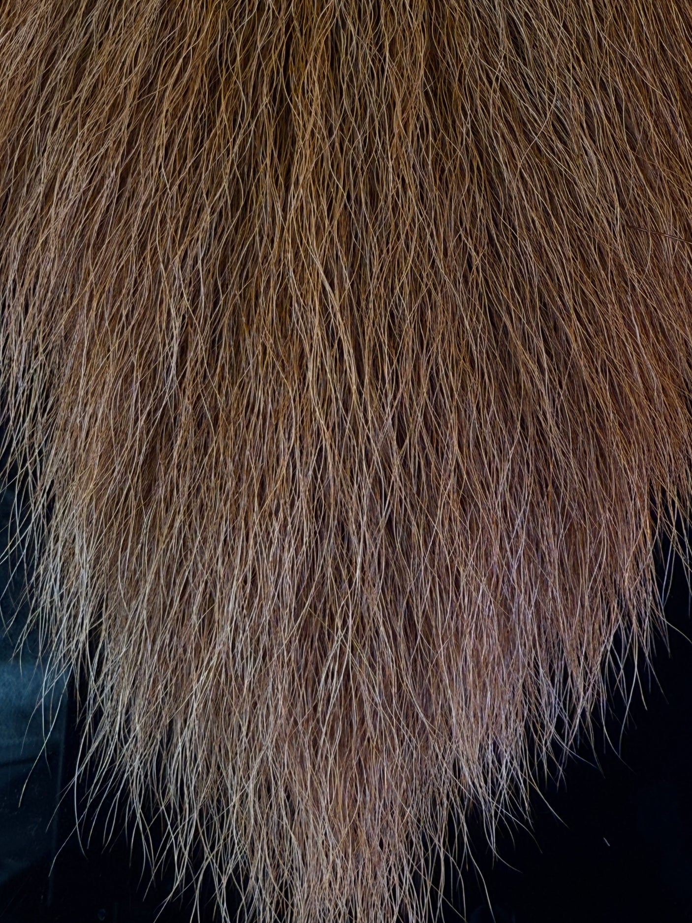 Large Northern Bucktail