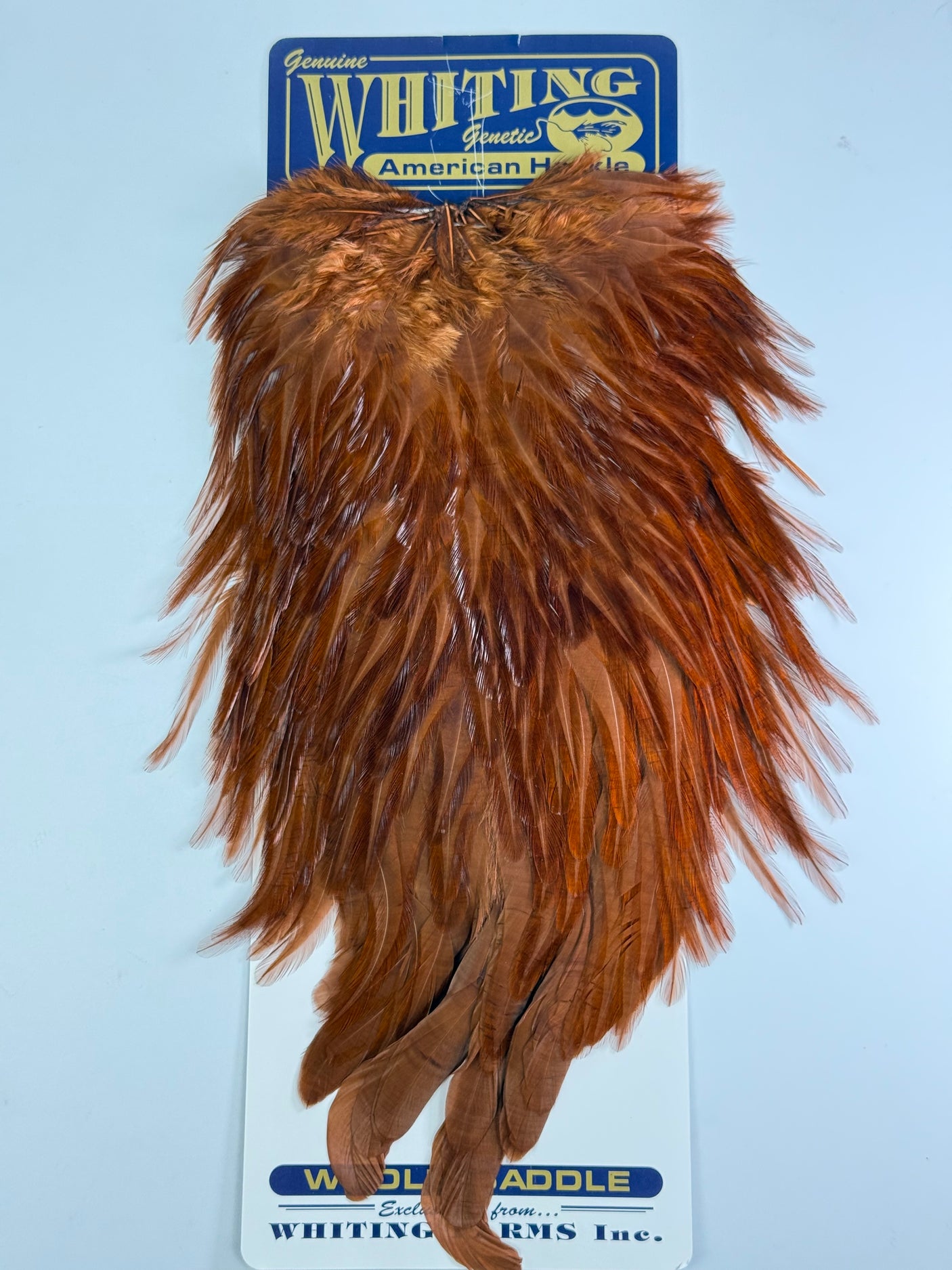 Whiting American Rooster Saddle