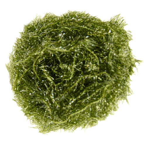 Estaz Chenille