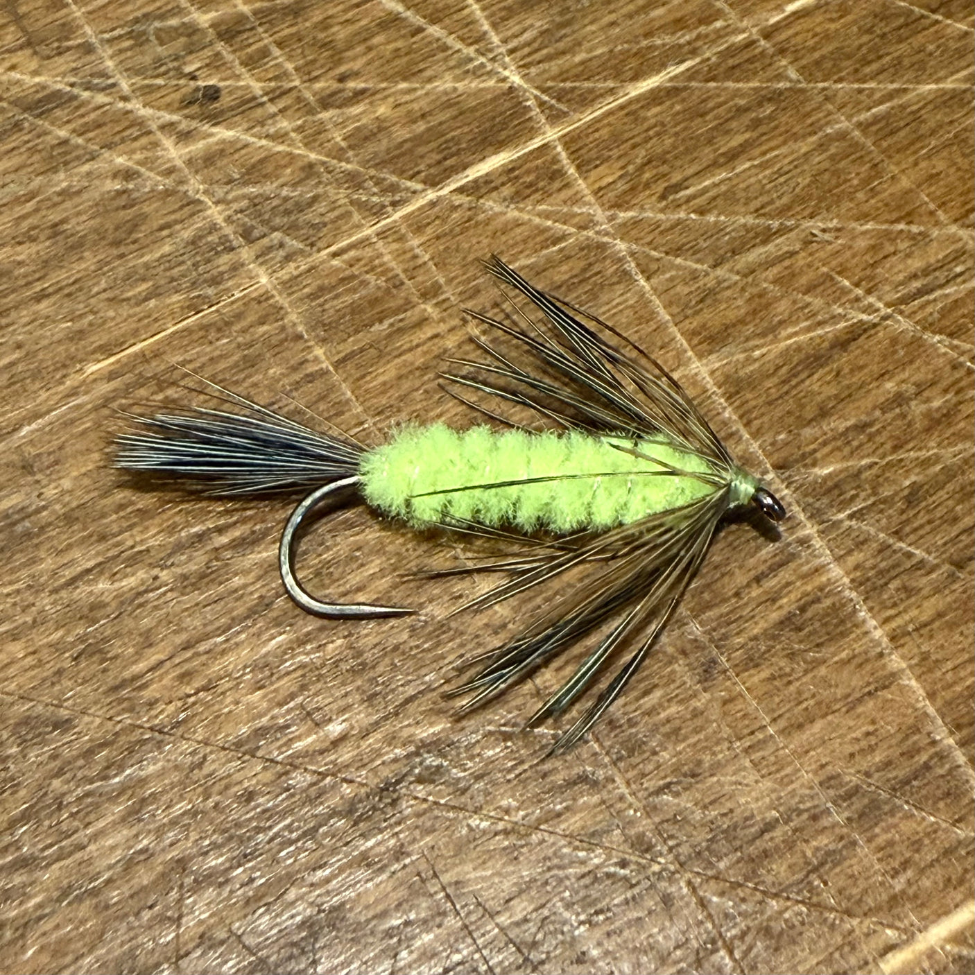 Blake’s Bug