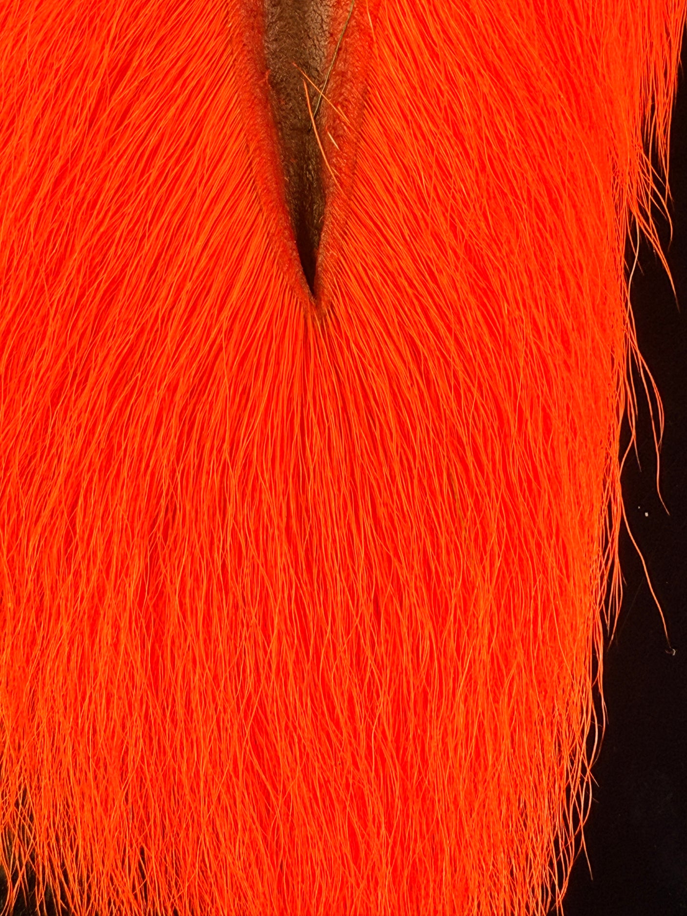 Large Northern Bucktail