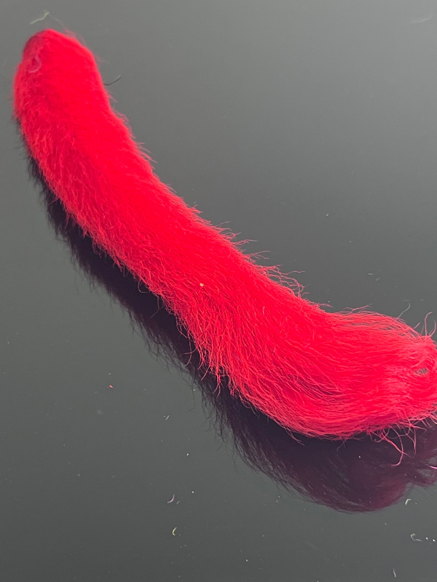 Waters West Calf Tail