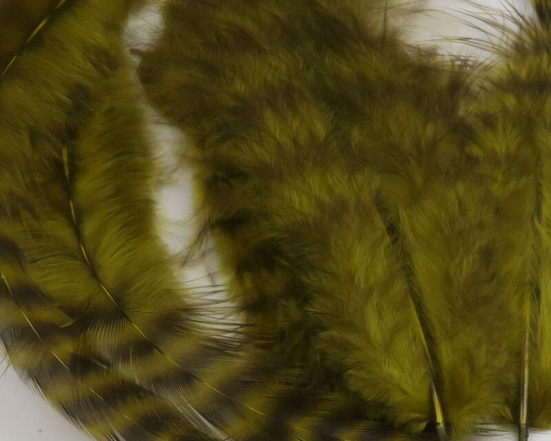 Grizzly Soft Hackle