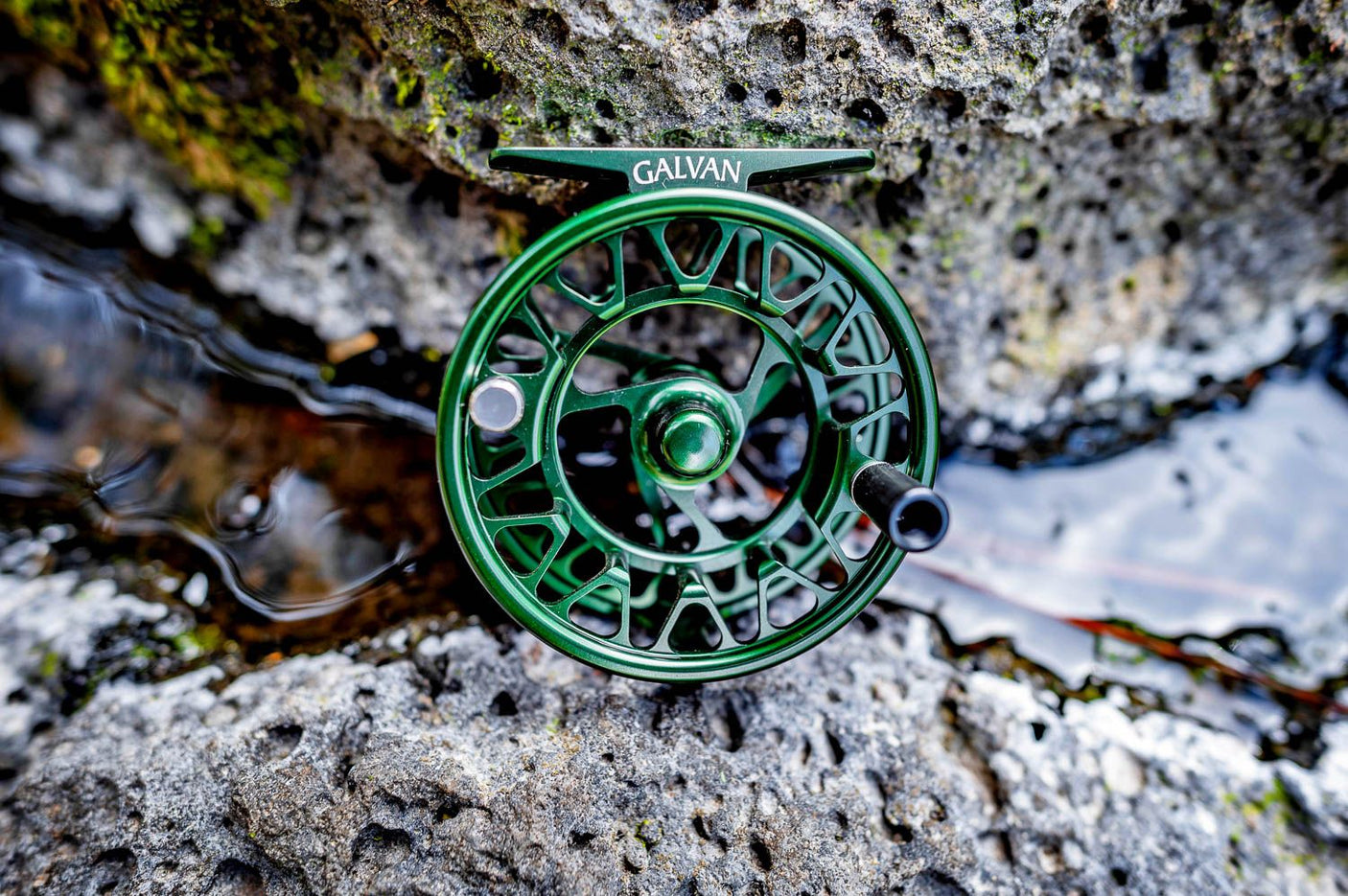 Galvan Brookie Reel