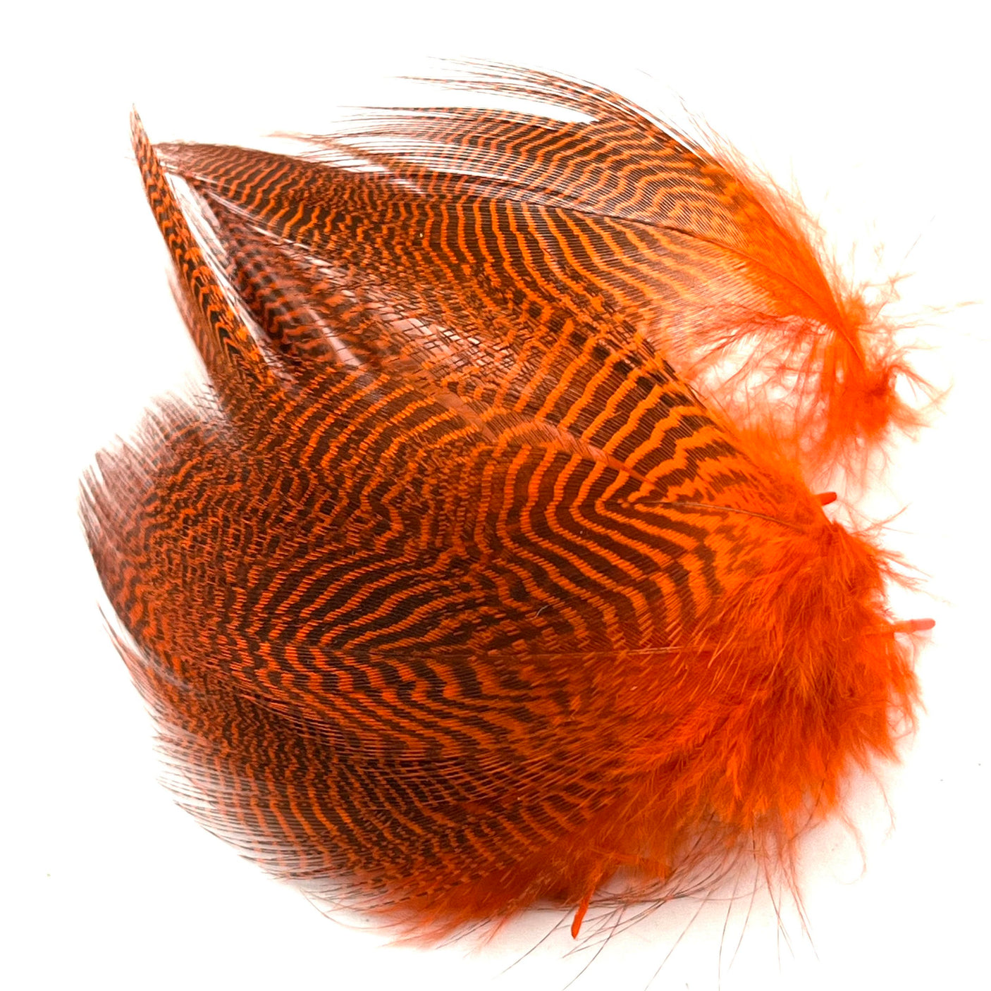 Nature's Spirit Teal Barred Flank 12 select feathers Hot Orange