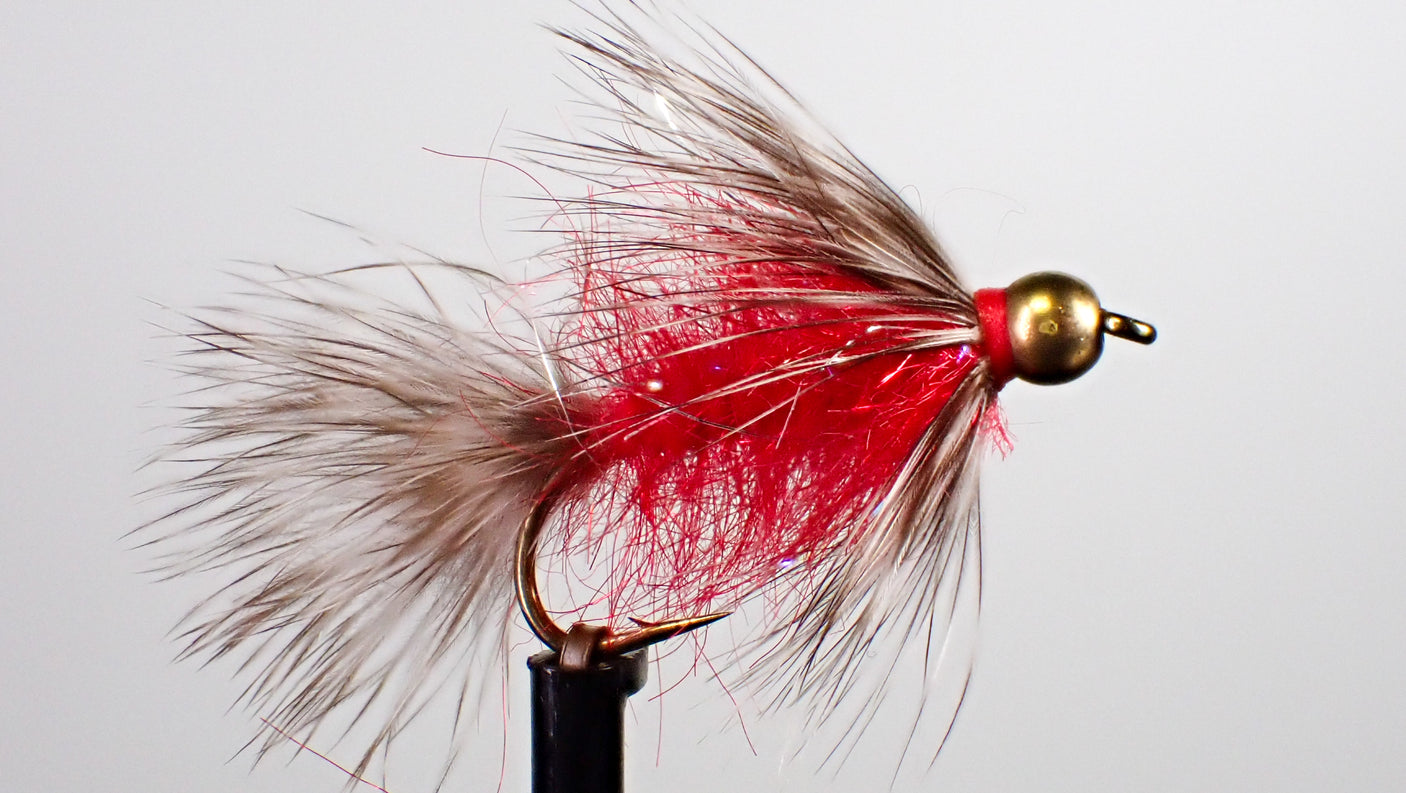 Morris' Raccoon - Red