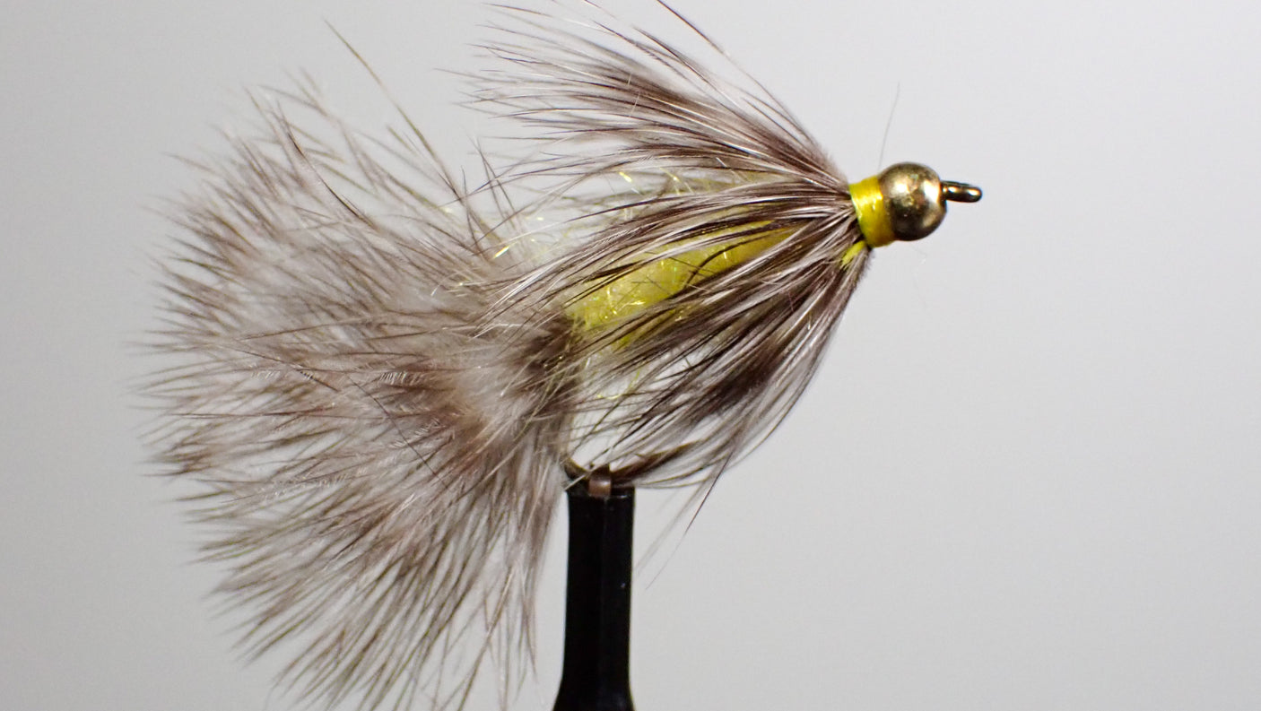 Morris' Raccoon - Yellow