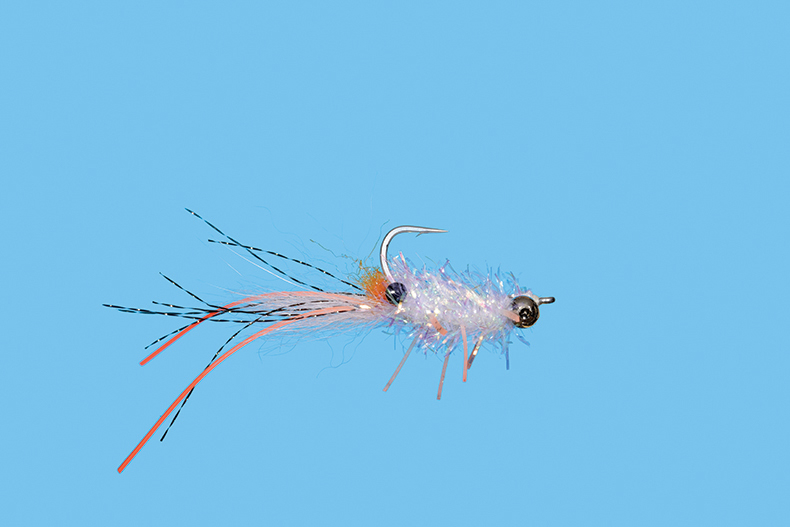 Pimp Shrimp
