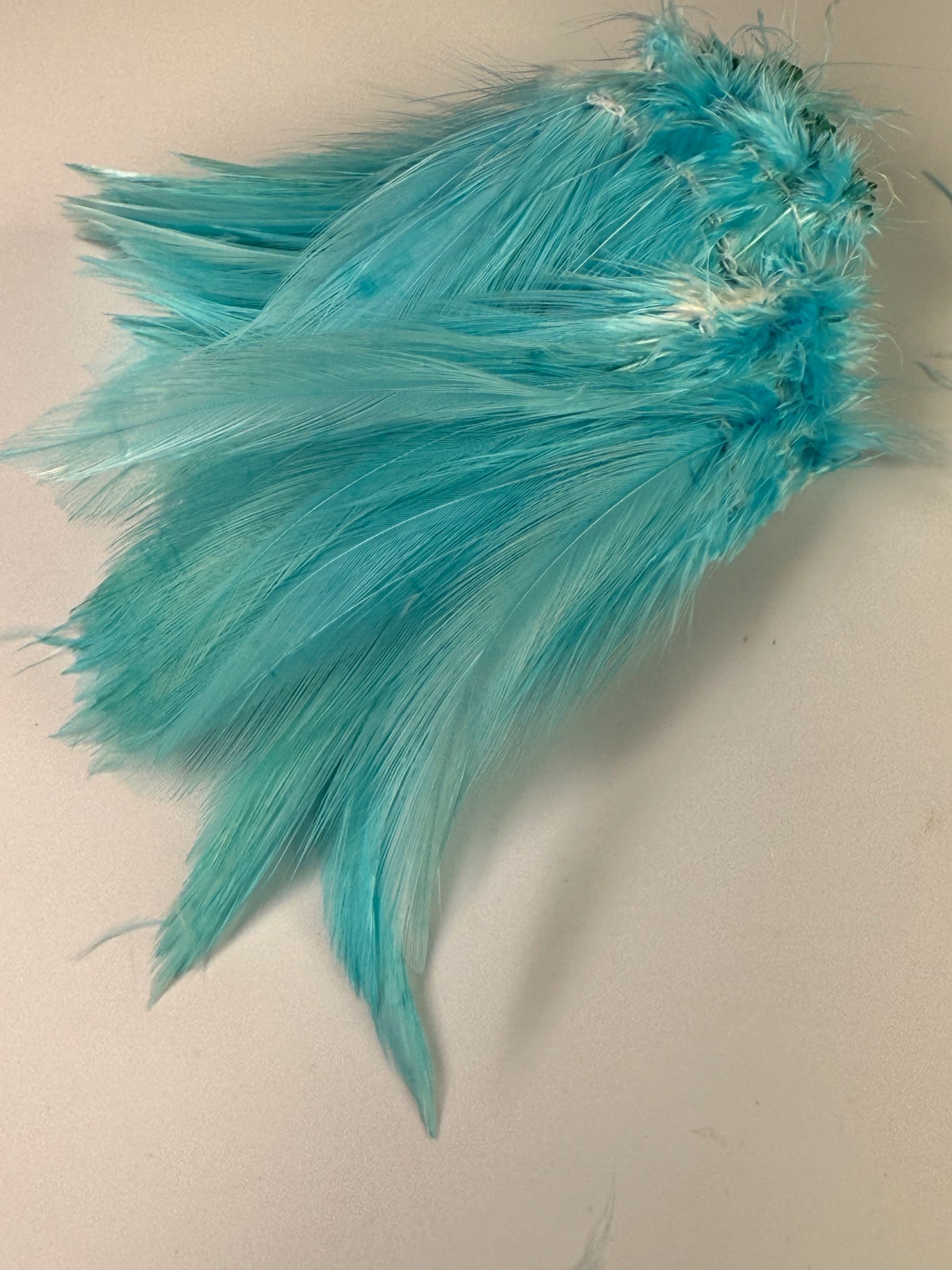 Strung Neck Hackle 4-6"
