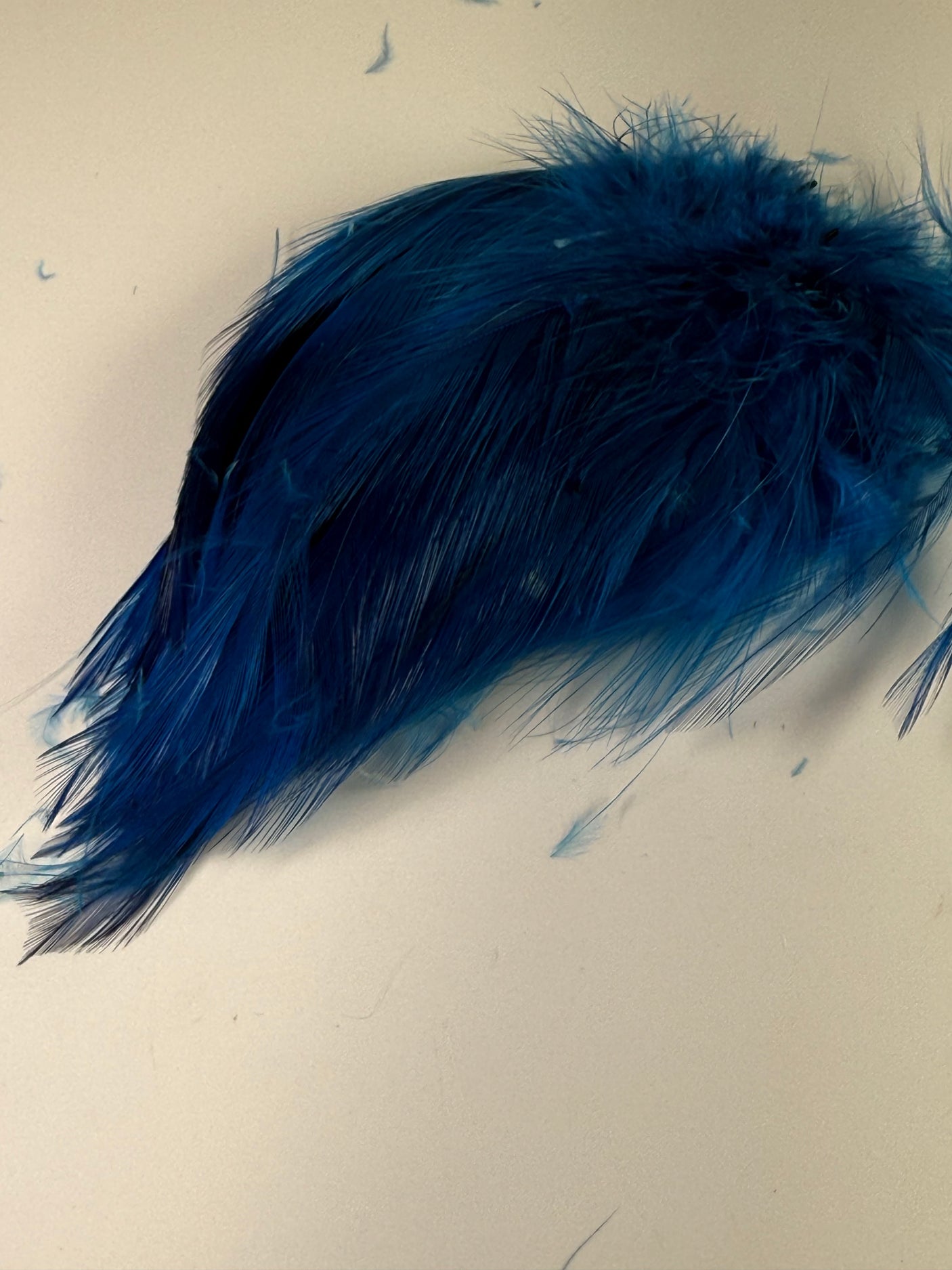 Strung Neck Hackle 4-6"