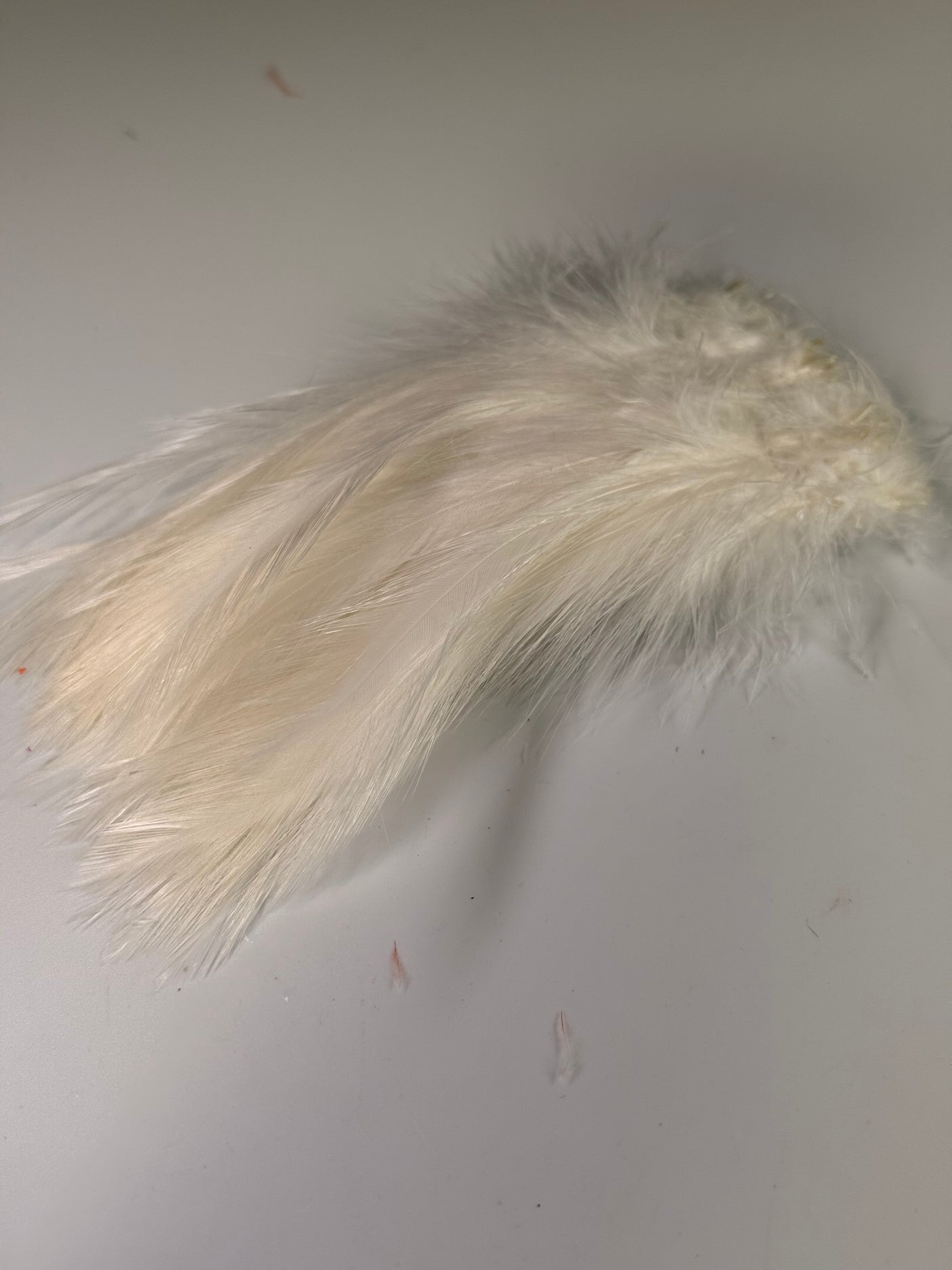 Strung Neck Hackle 4-6"