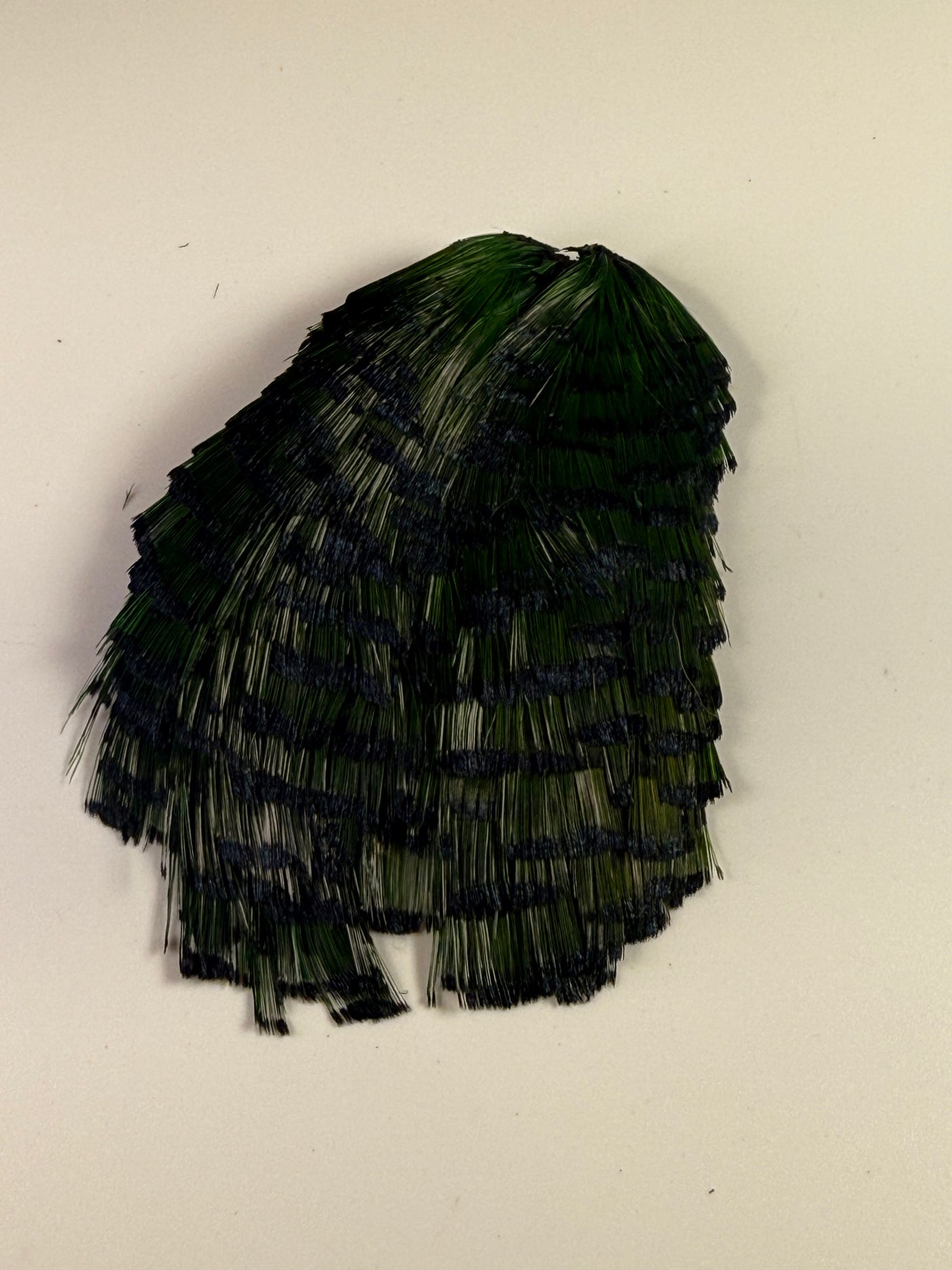 Golden Pheasant Complete Tippets
