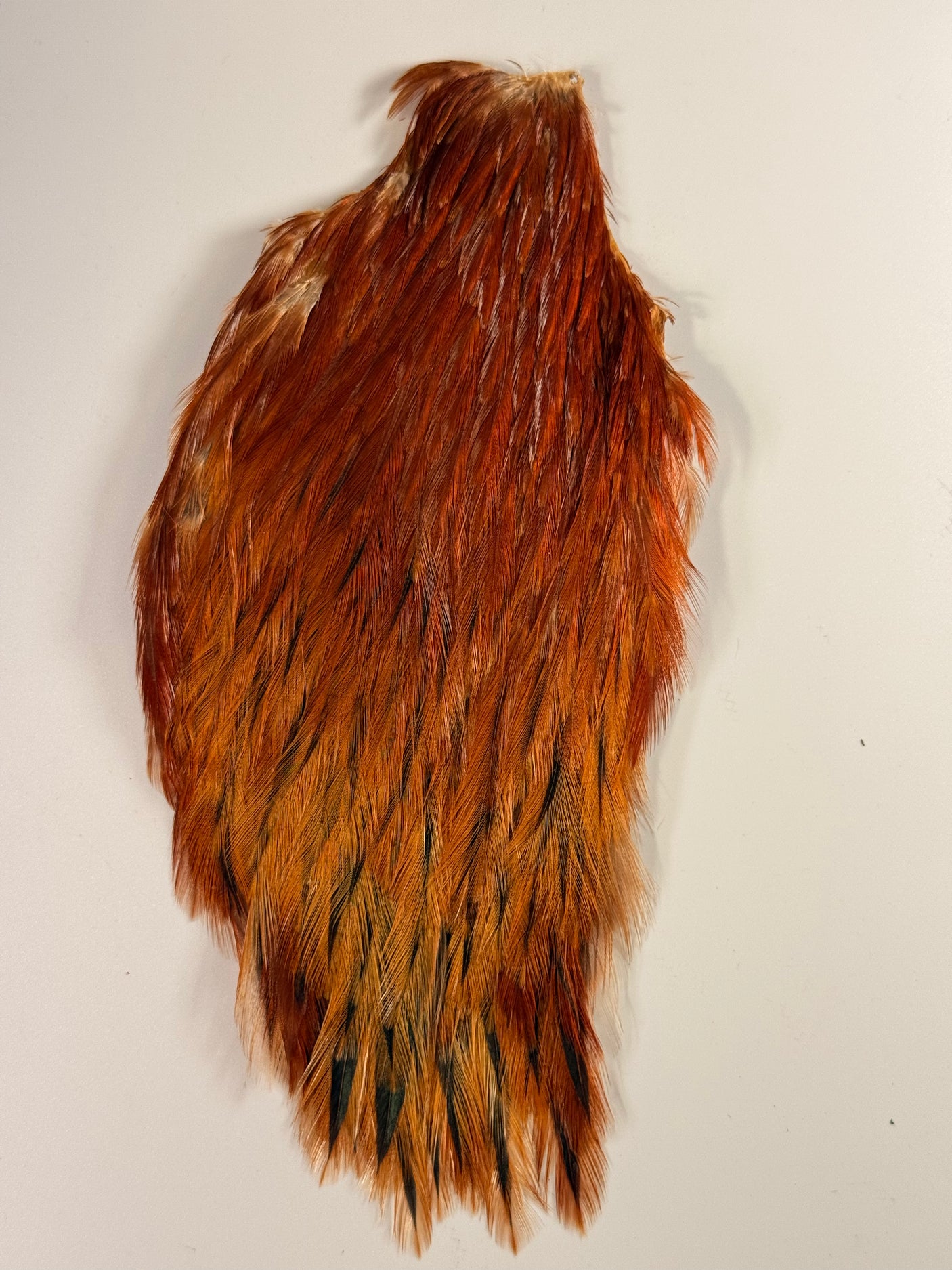 Streamer Rooster Neck #2
