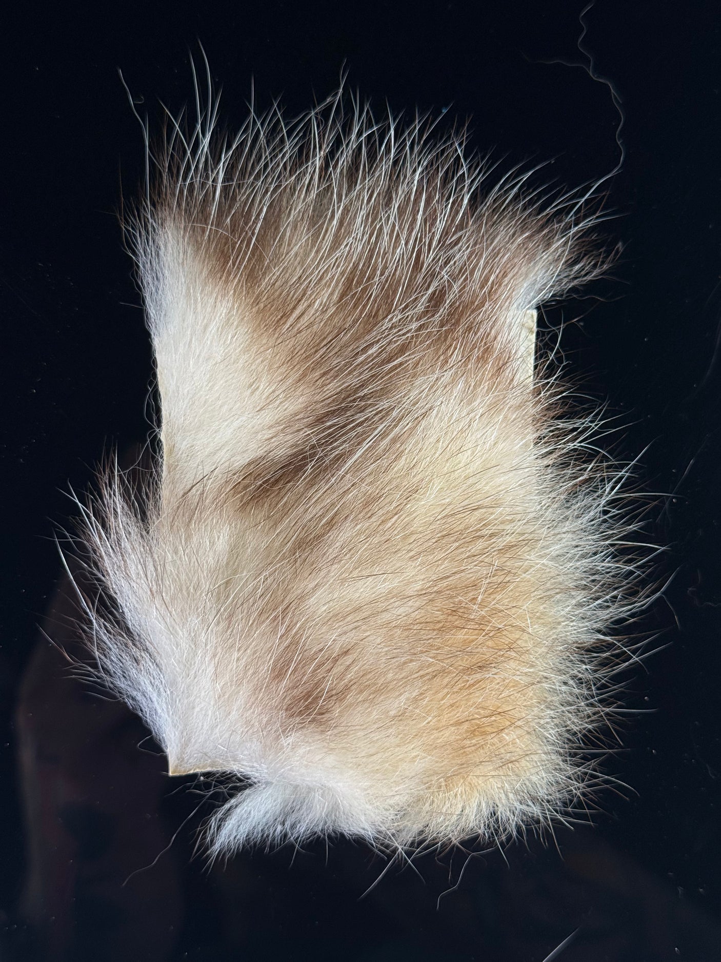 Possum Body Fur