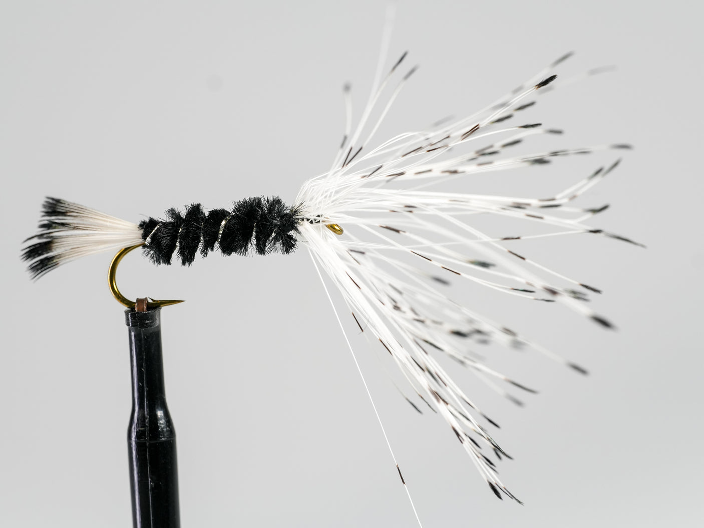 Kinney’s Reverse Spider