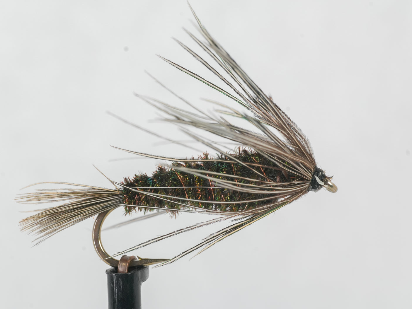 Carey Special