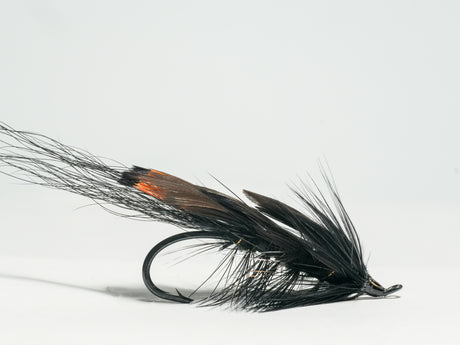 General Practitioner