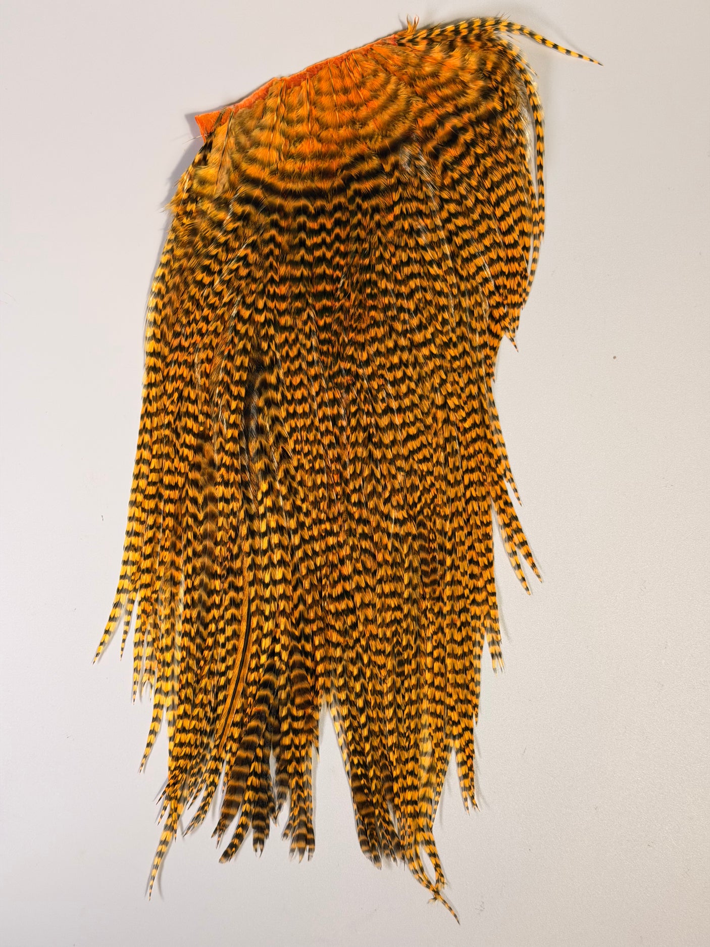 Ewing Grizzly Whole Saddles