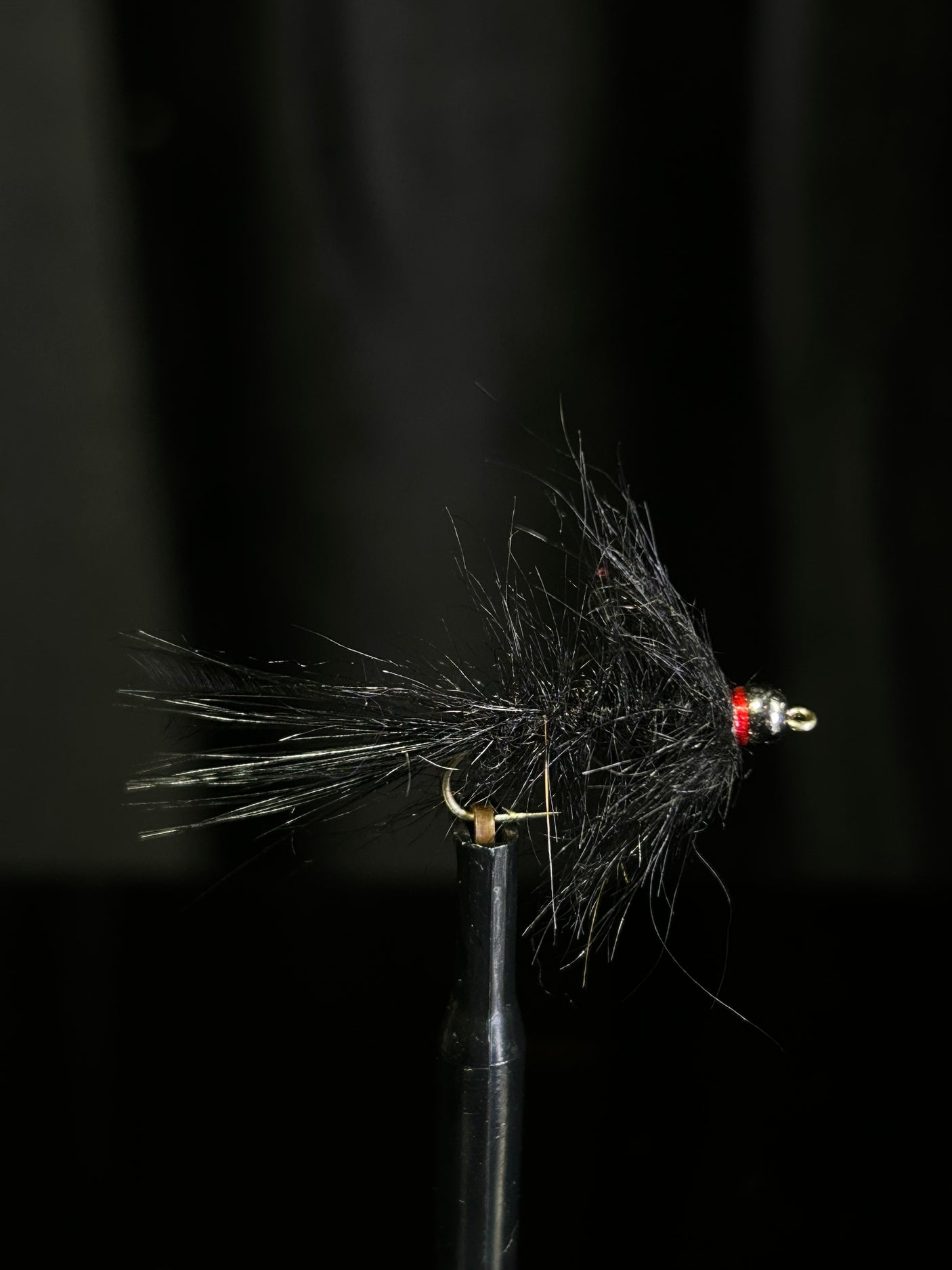Hale Bopp Leech - Bead Head