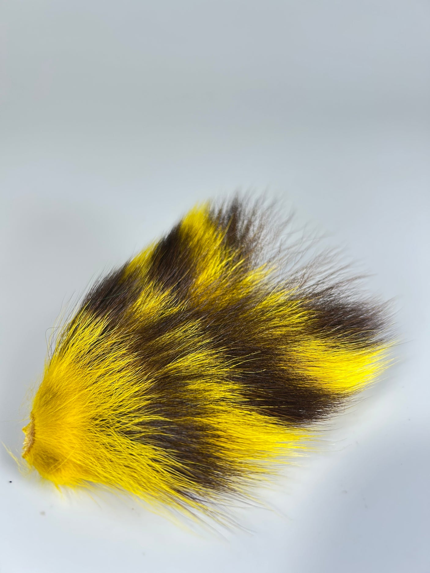 Monga Ringtail