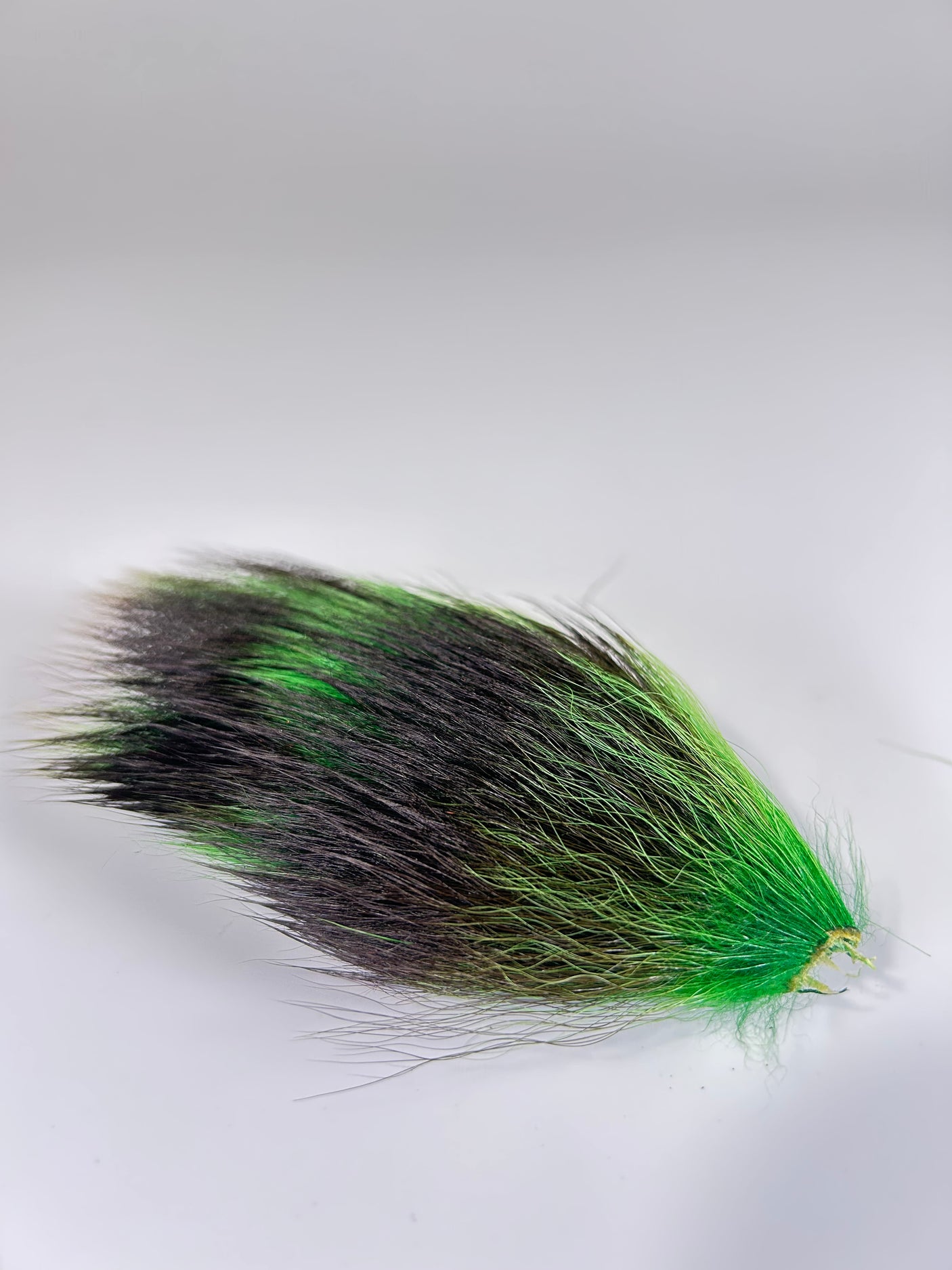 Monga Ringtail