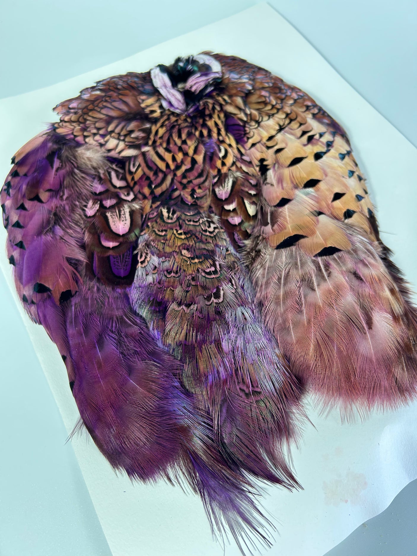 Ringneck Pheasant Skin - Dyed