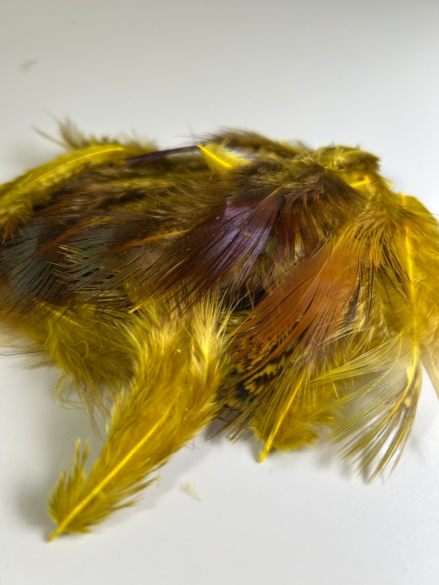 Ringneck Pheasant Rump Hackle Loose Feathers