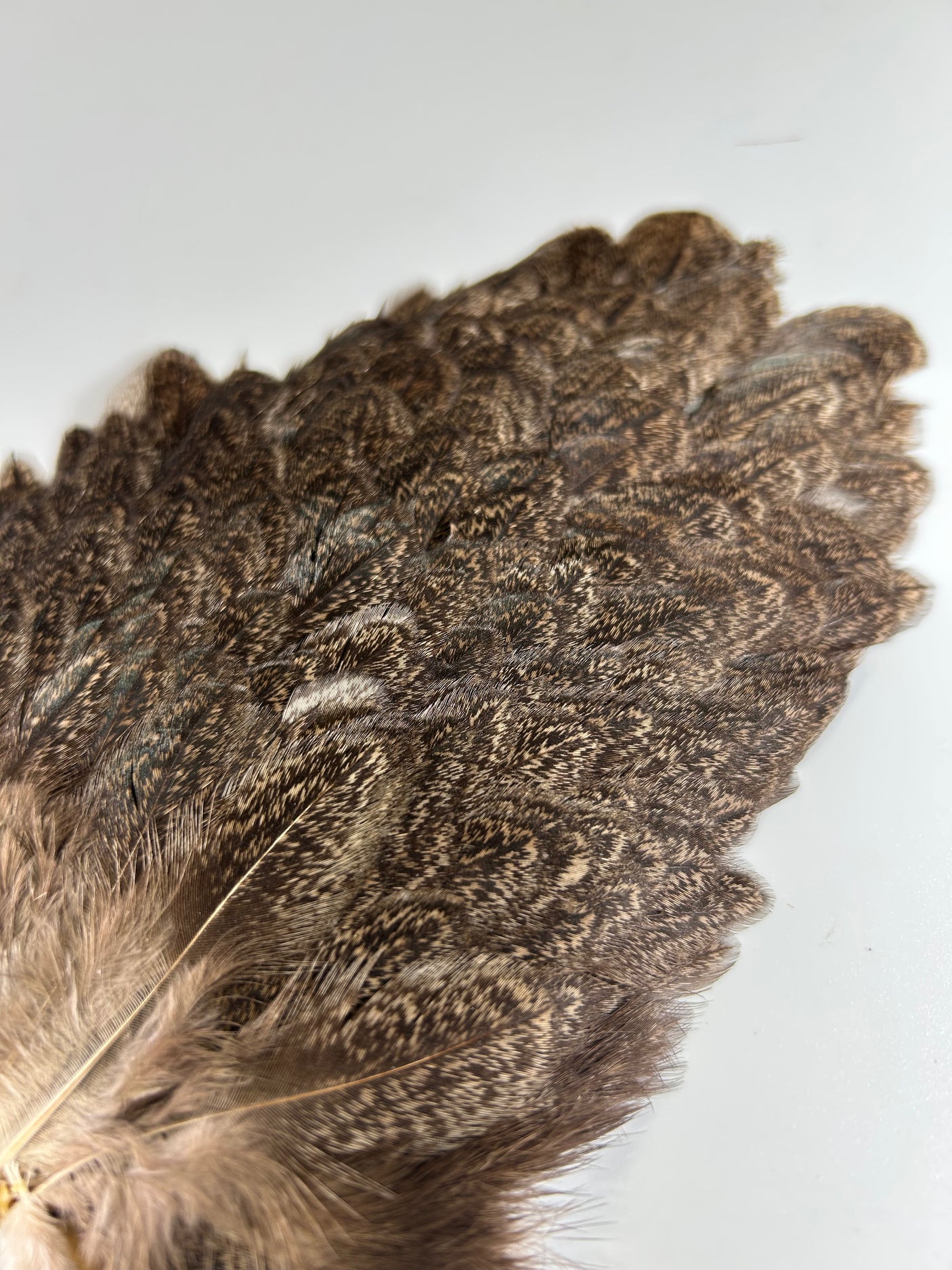 Soft Hackle Hen Saddle Patches