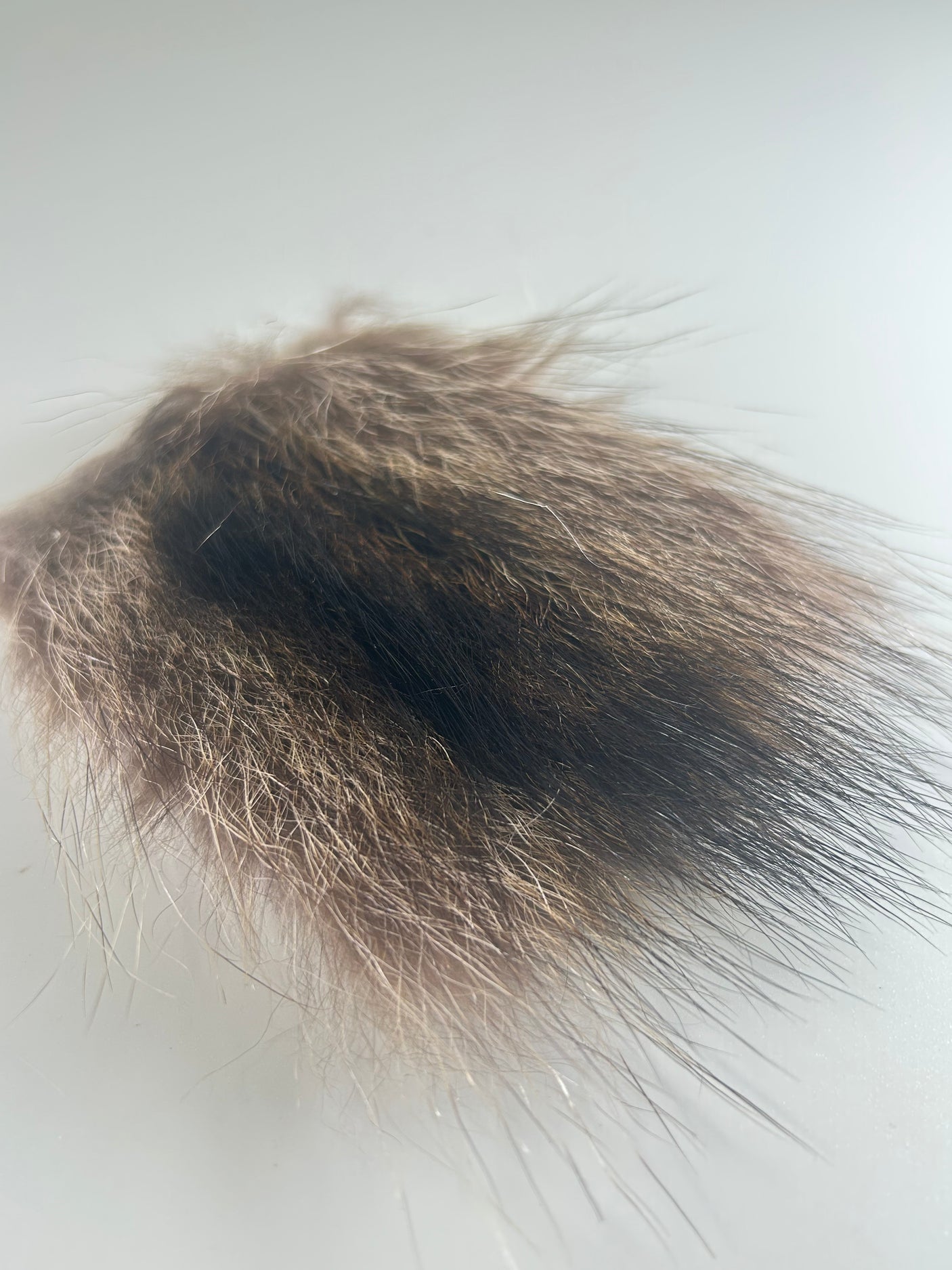 Raccoon Body Fur Natural
