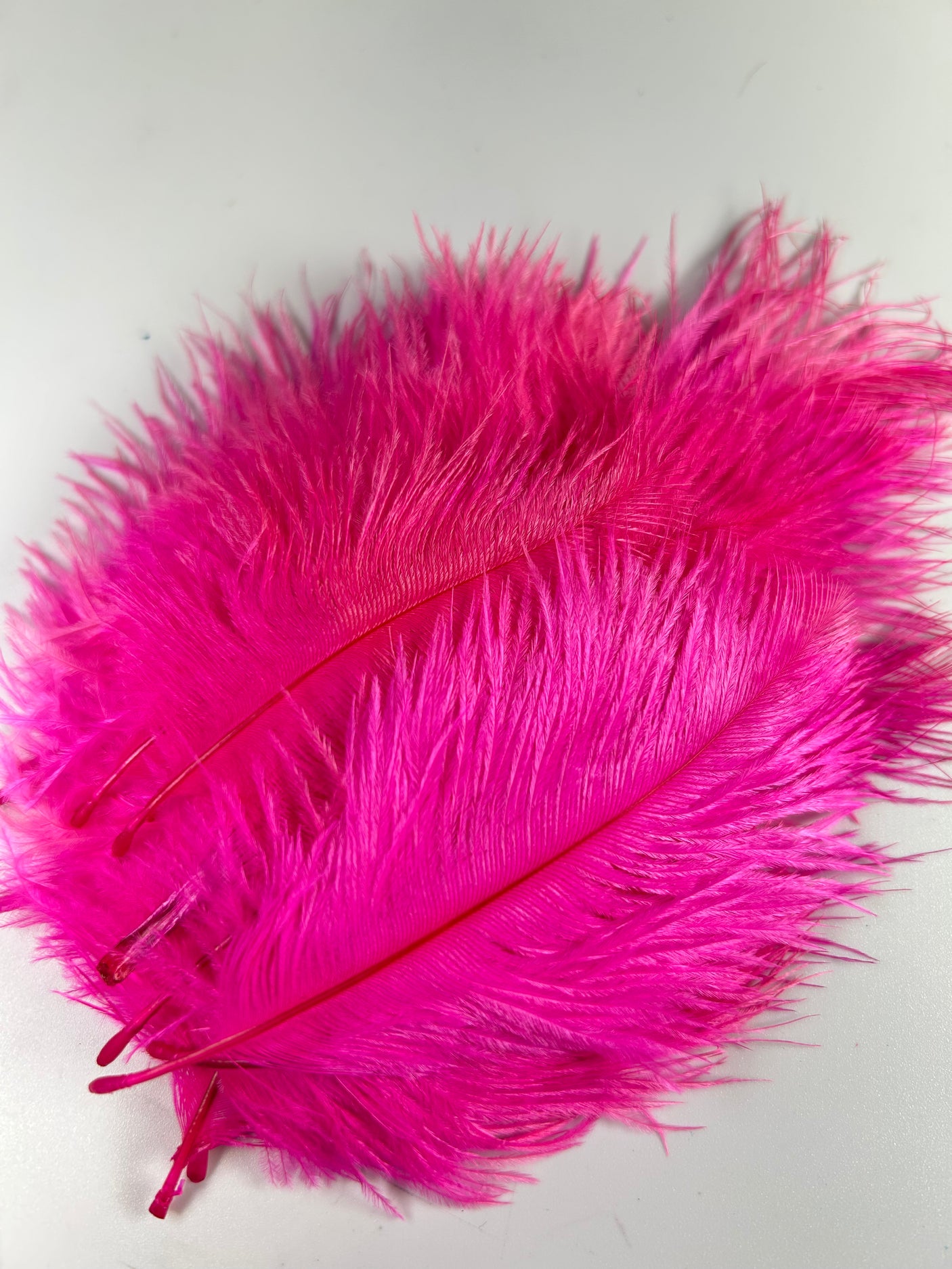 Spey Plumes Ostrich